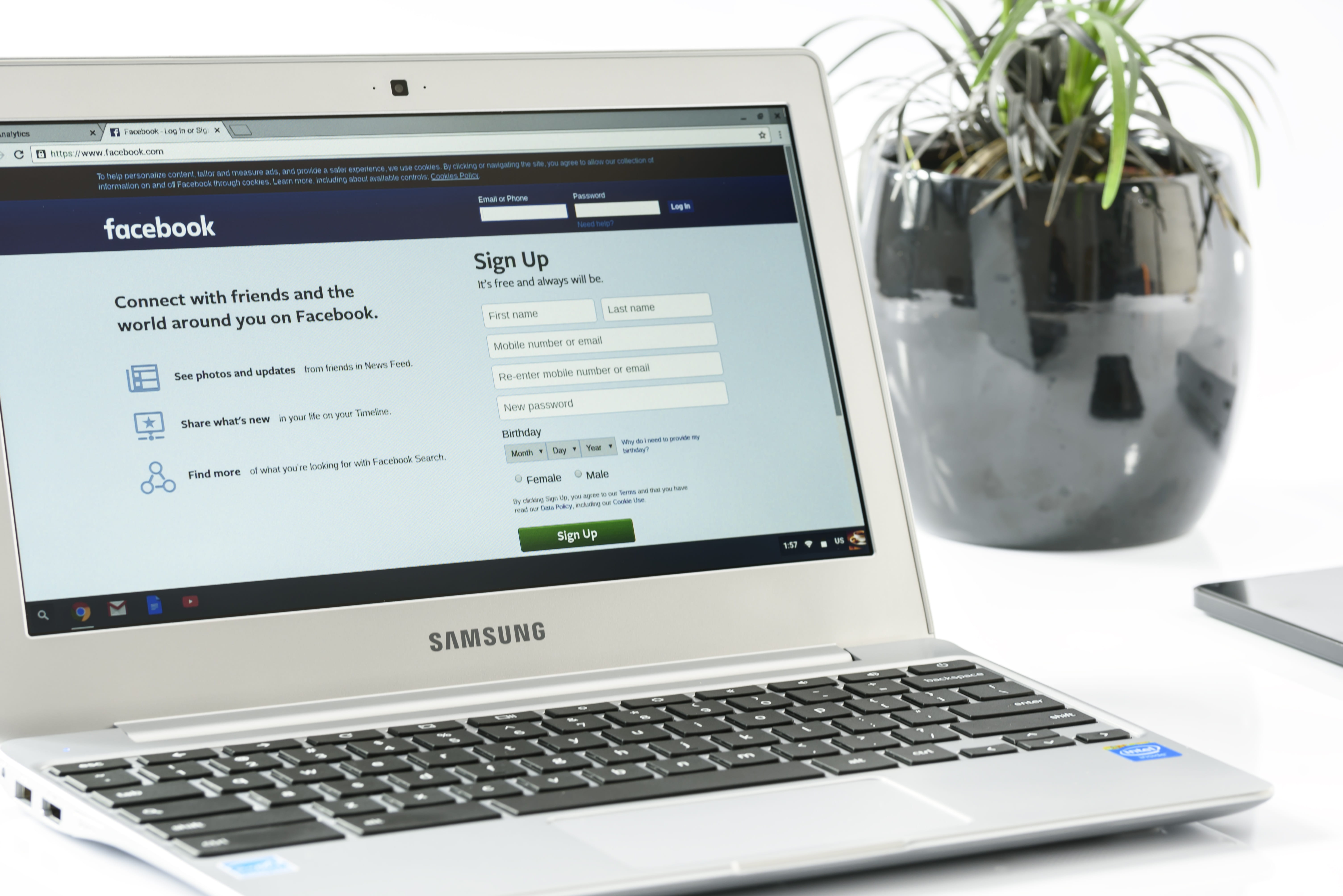 people, social media, green, table, facebook login, keyboard, computer equipment, finance, 5K, potted, information, break at work, laptop, netbook, furniture, HD Wallpaper