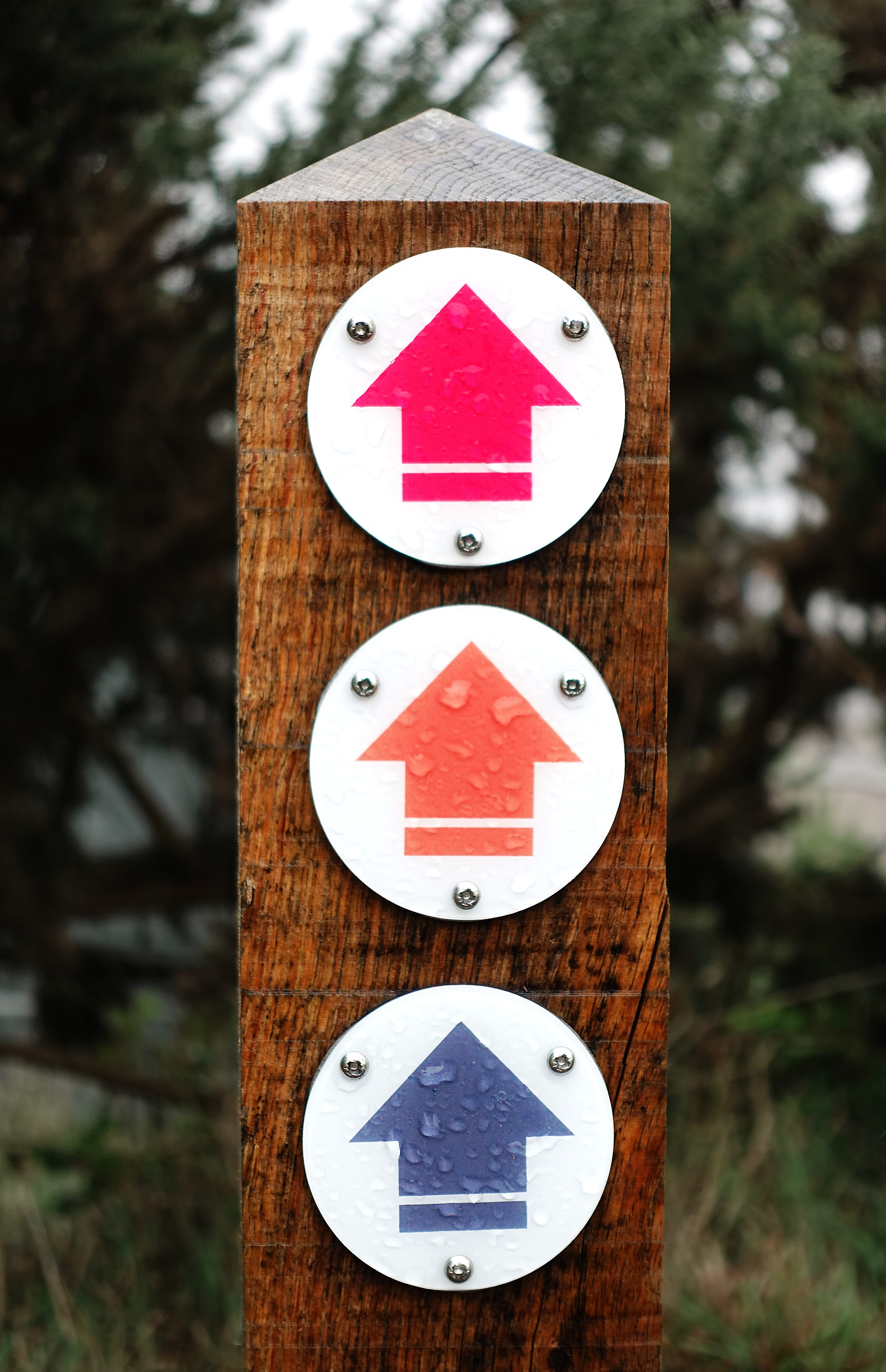 shape, warning sign, road sign, destination, up, route, sign, way, hiking, geometric shape, pointer, road, icon, outdoors, guide, north, day, arrow, no people, Phone HD Wallpaper