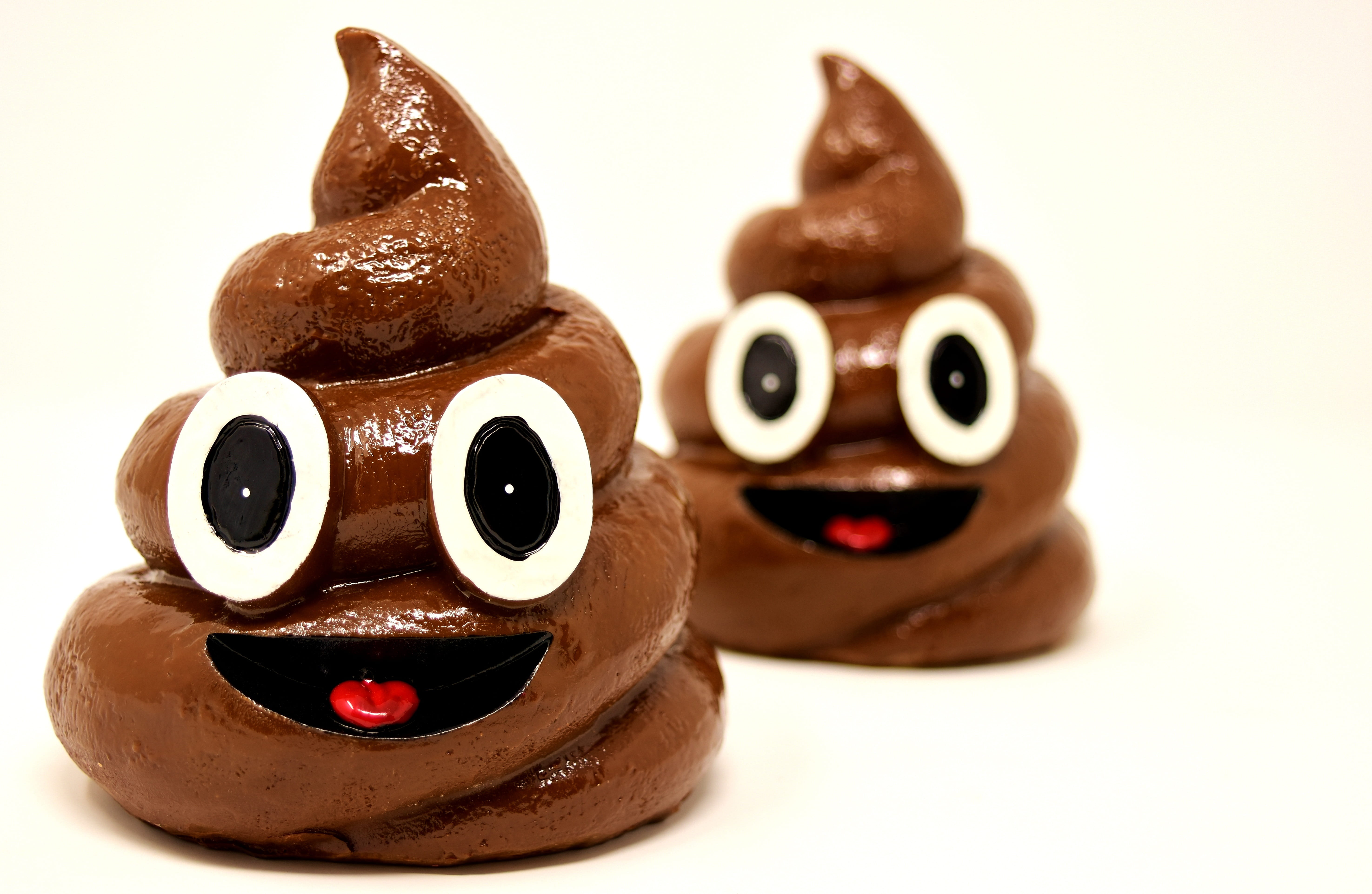 creativity, snack, no people, brown, sweet, shit, representation, sweet food, temptation, ceramic, indoors, mammal, smiling, close-up, 5K, poop, food and drink, HD Wallpaper
