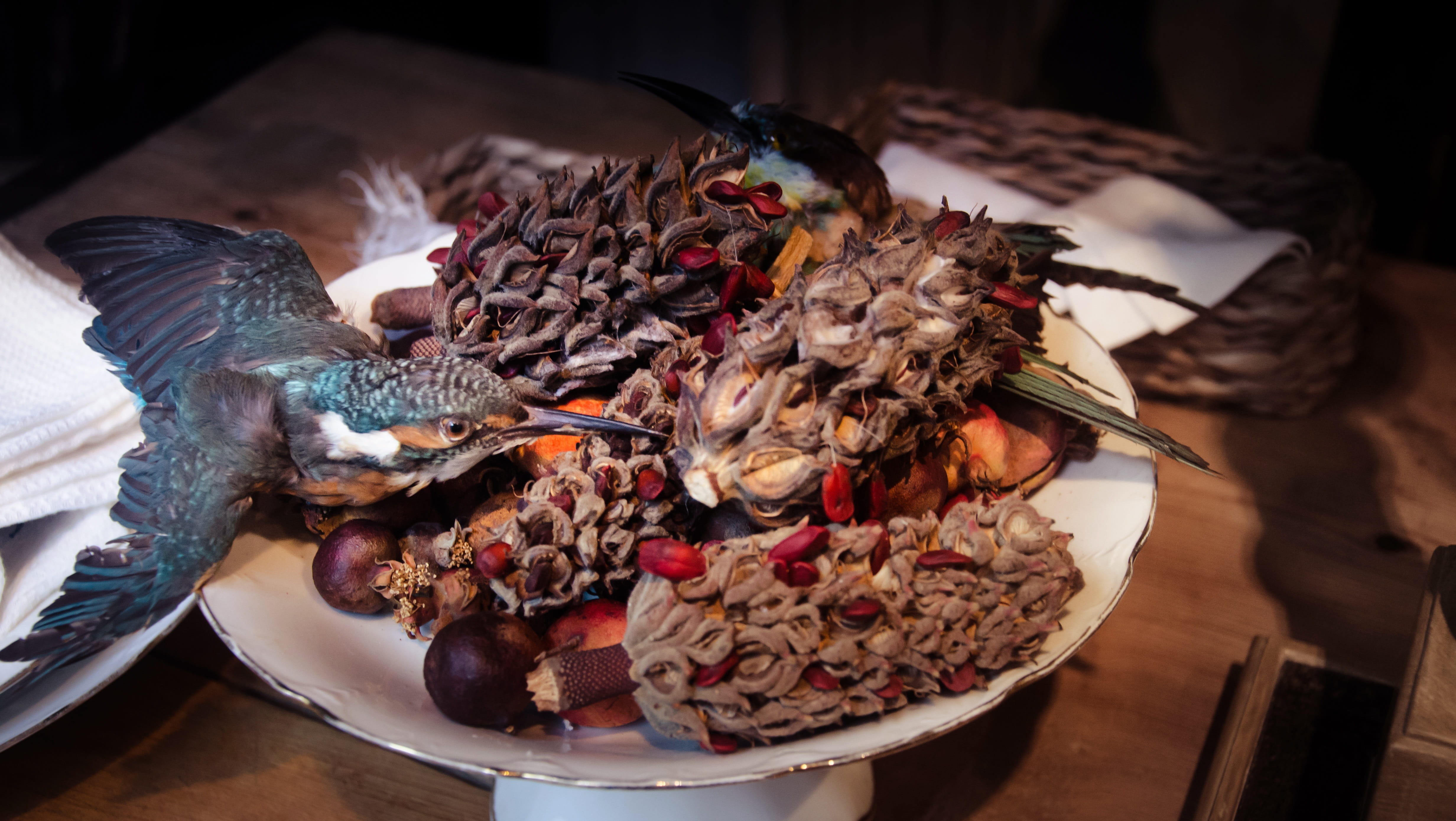 focus on foreground, tray, Plate, food, healthy eating, decoration, table cover, dinner, freshness, serving suggestion, seafood, Cover, animal, serving size, HD Wallpaper