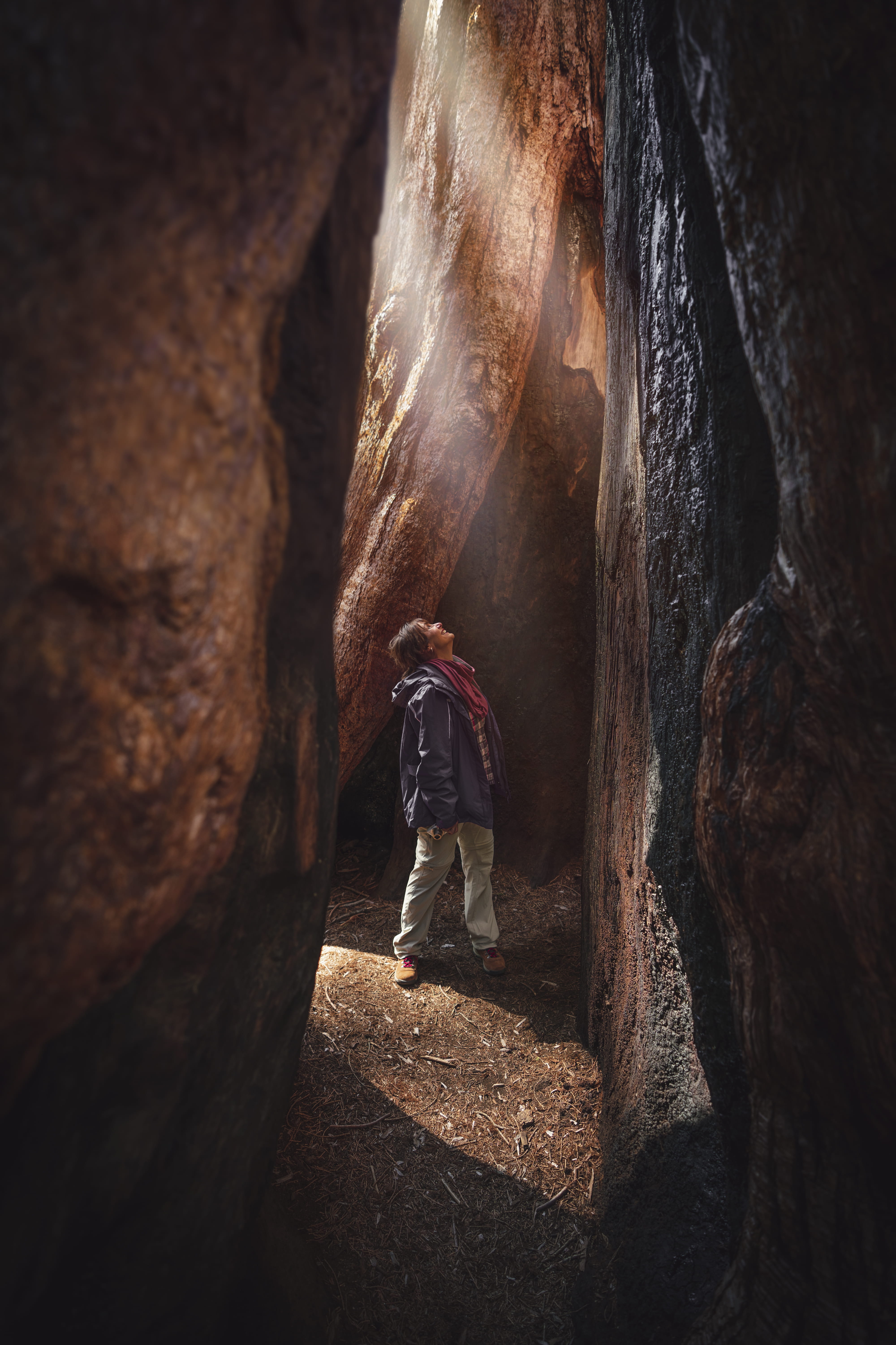 climbing, people, sport, woman, healthy Lifestyle, outdoor, nature, extreme Sports, smile, mountain Climbing, challenge, exploration, sunlight, clambering, Phone HD Wallpaper