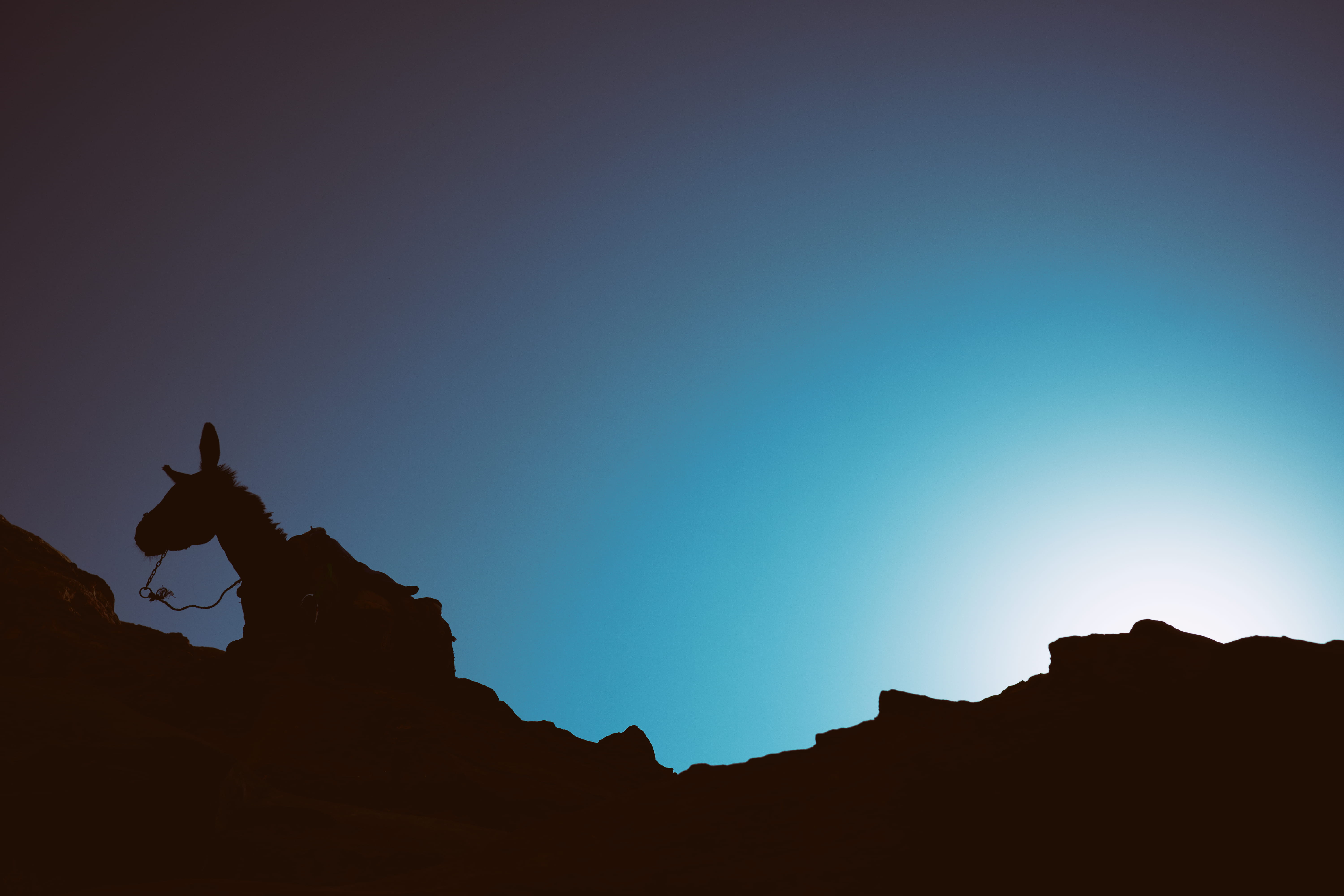 nature, mountain Peak, sky, hill silhouette, donkey, sport, climbing, hill, hiking, landscape, animal, mountain, 5K, scenics, hillside, sunset, orange Color, HD Wallpaper