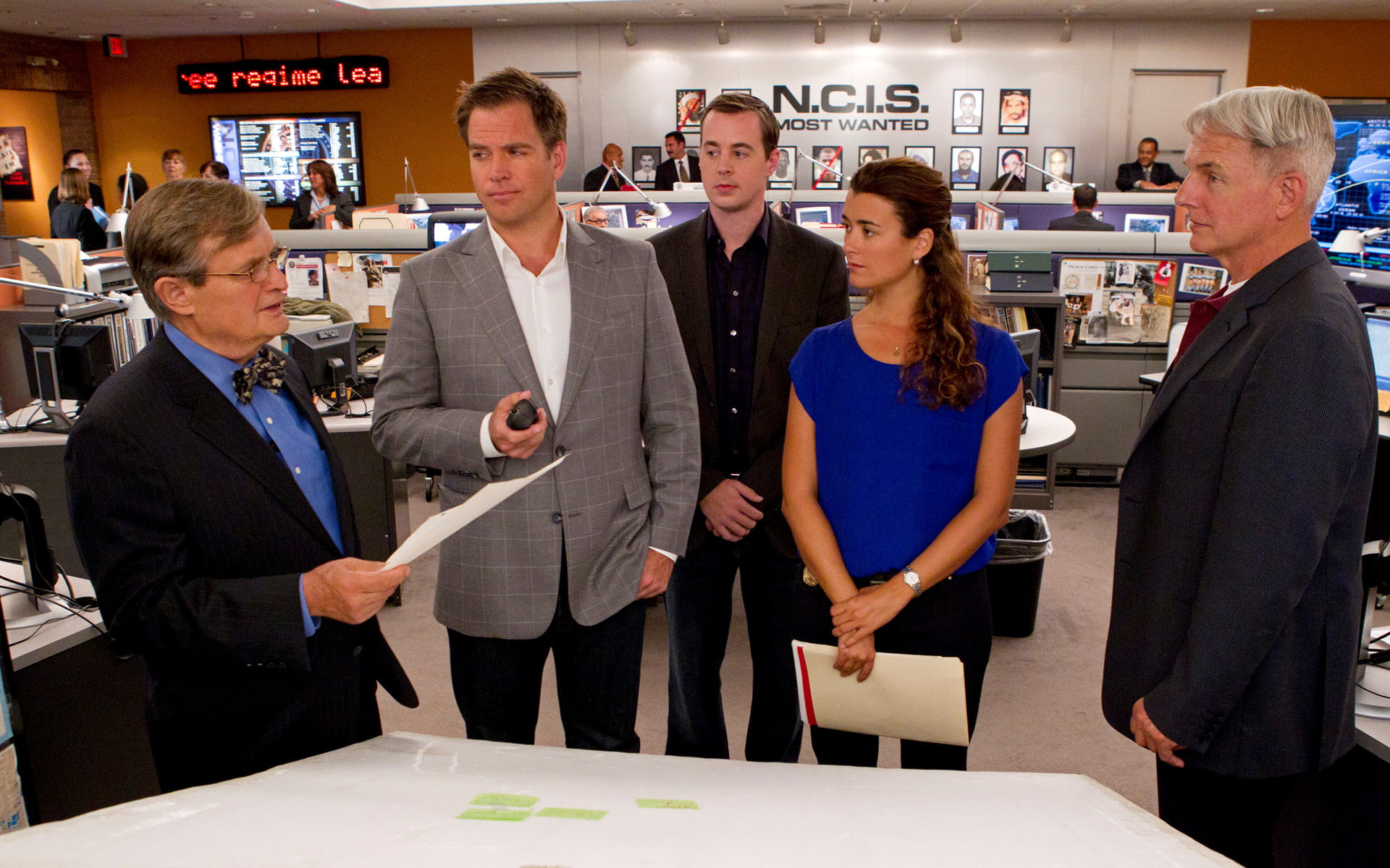 Sean Murray, customer, adult, Mark Harmon, shopping, Michael Weatherly, Ziva David, Leroy Jethro Gibbs, mature adult, Dr. Donald Mallard, group of people, HD Wallpaper