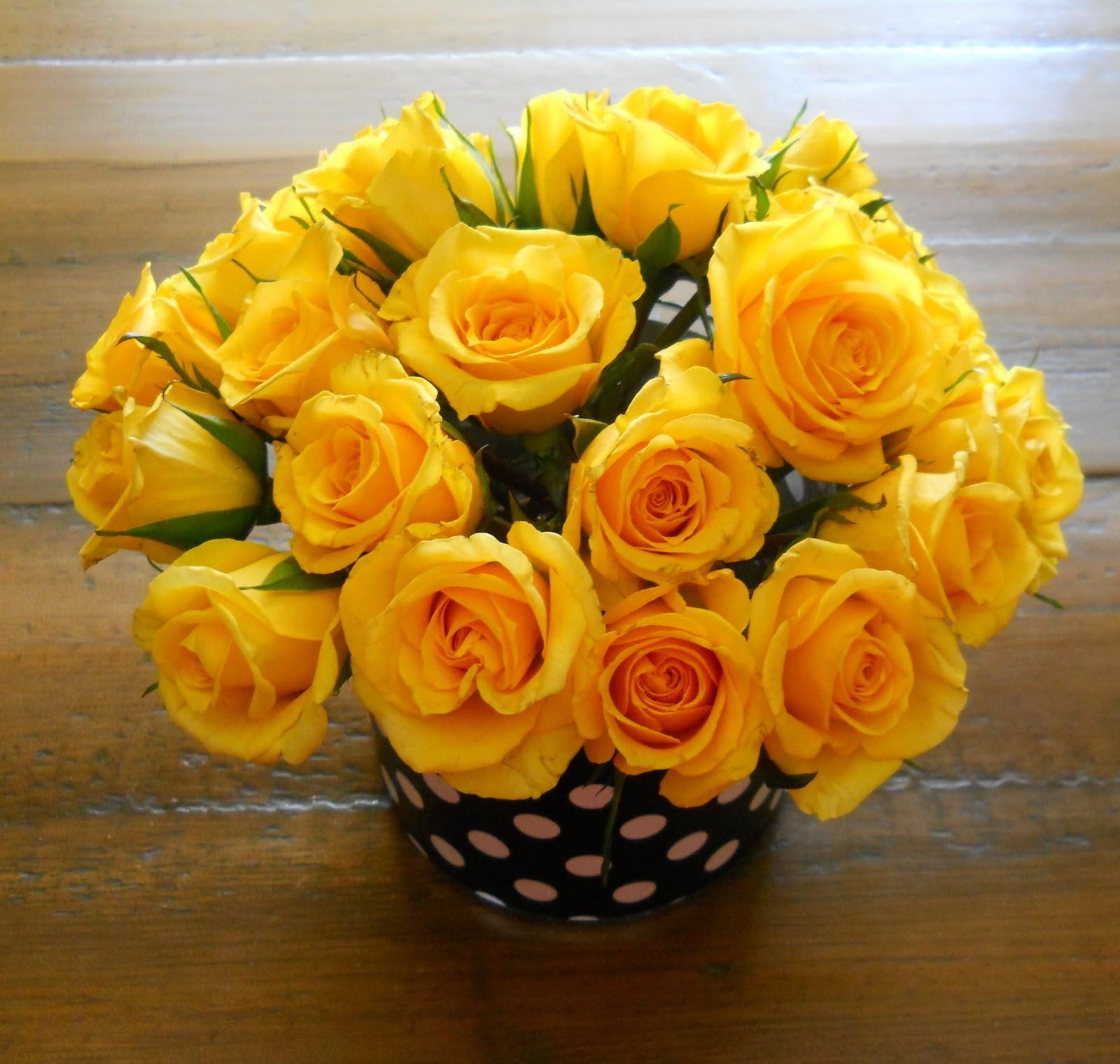 roses, 720P, gladness, yellow, polka-dots, black, joy, white, HD Wallpaper