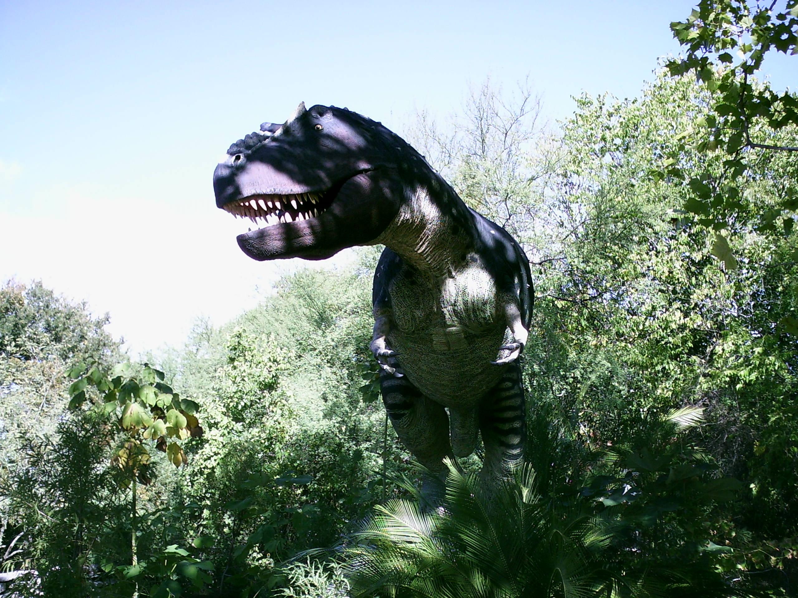 rex, t, t-rex, 2K, bad boy, antonio, glad he is extinct, animals, better run, power lunch, san, HD Wallpaper