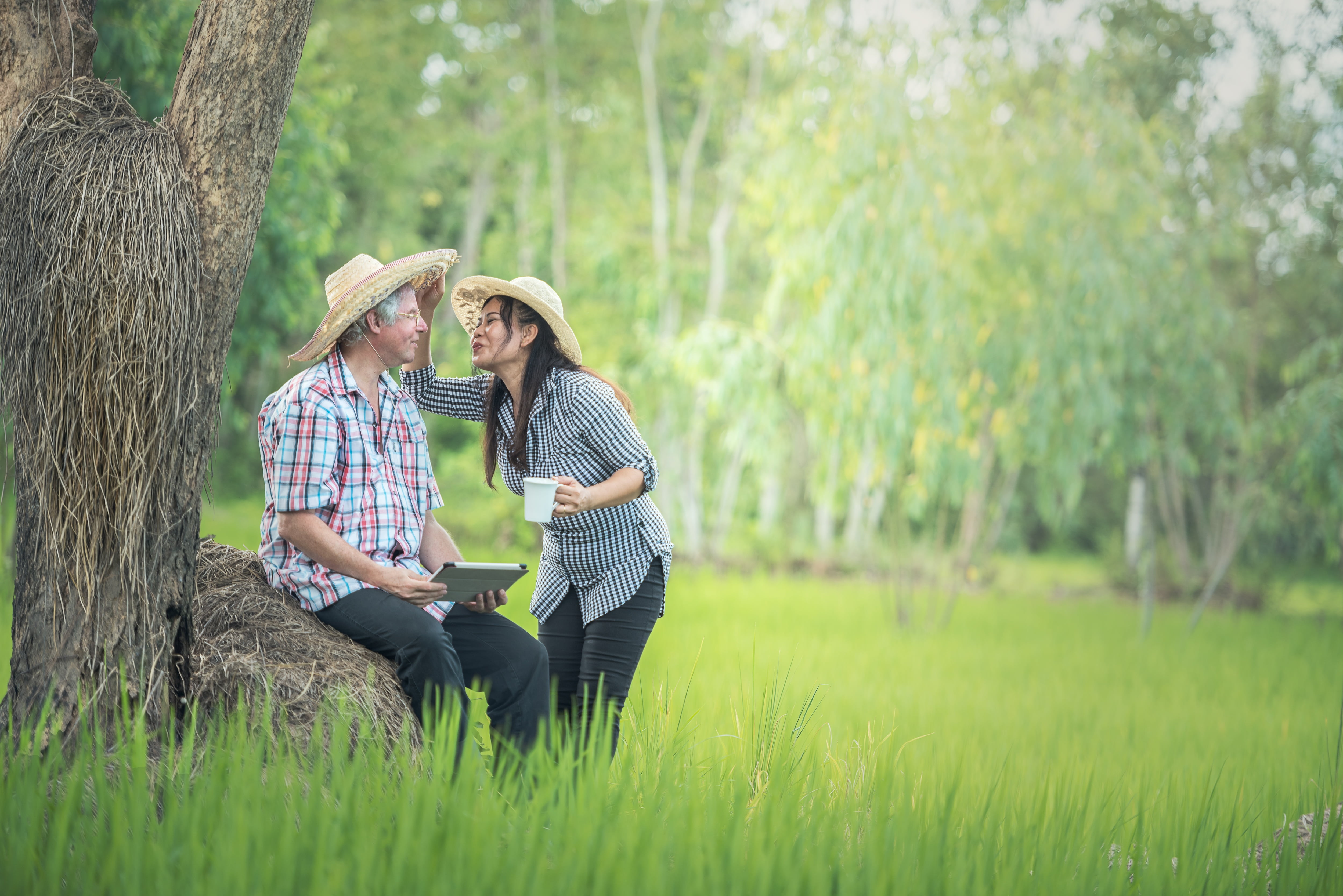 walk, green, communication, working, lifestyle, laughing, retirement, grass, using computer, front, sunny, computer, nature, hands, connection, countryside, HD Wallpaper