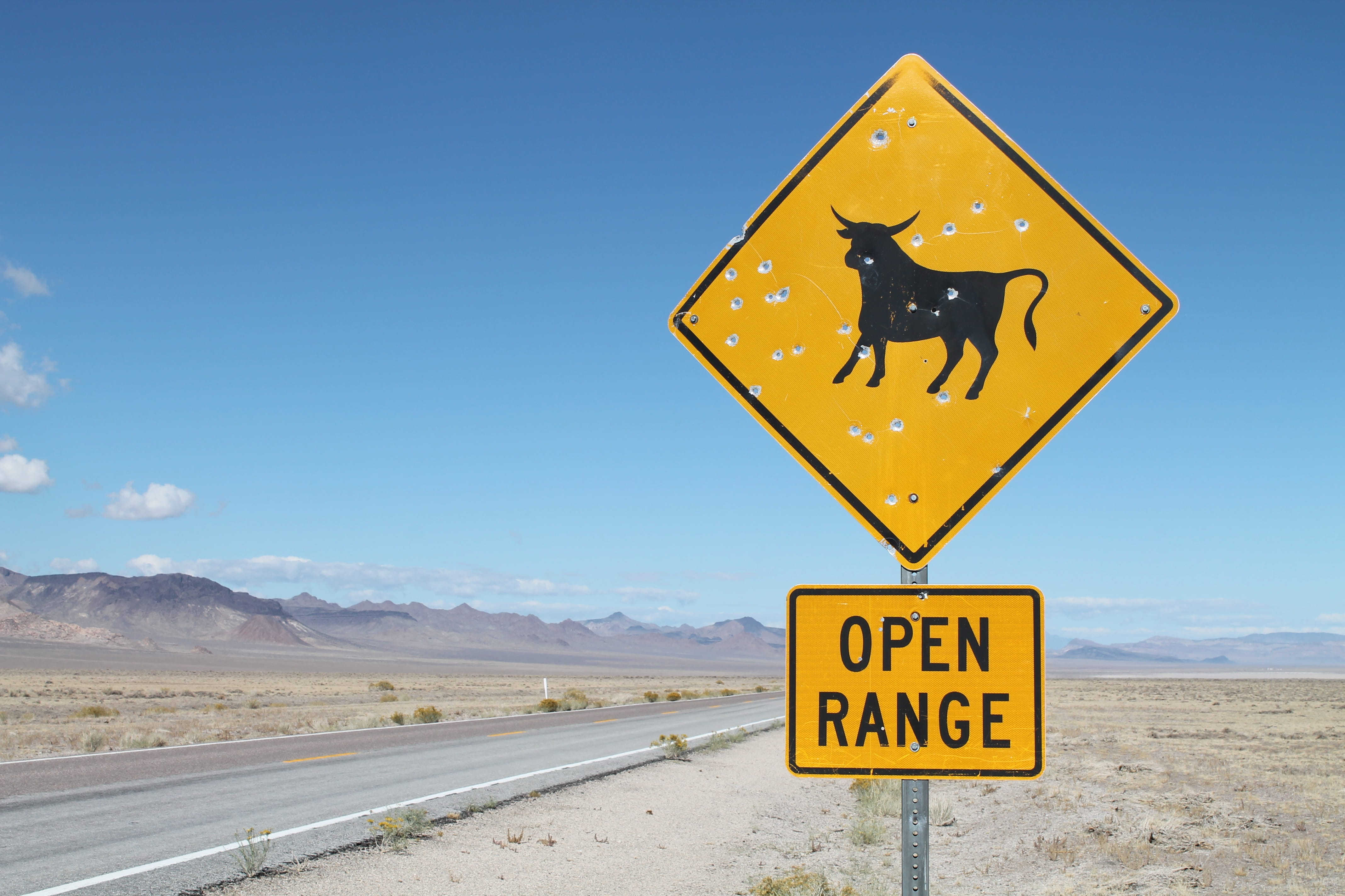 4K, crossing sign, yellow, warning, nature, cow, landscape, non-urban scene, transportation, warning sign, no people, sign, blue, cattle, nevada, sky, HD Wallpaper