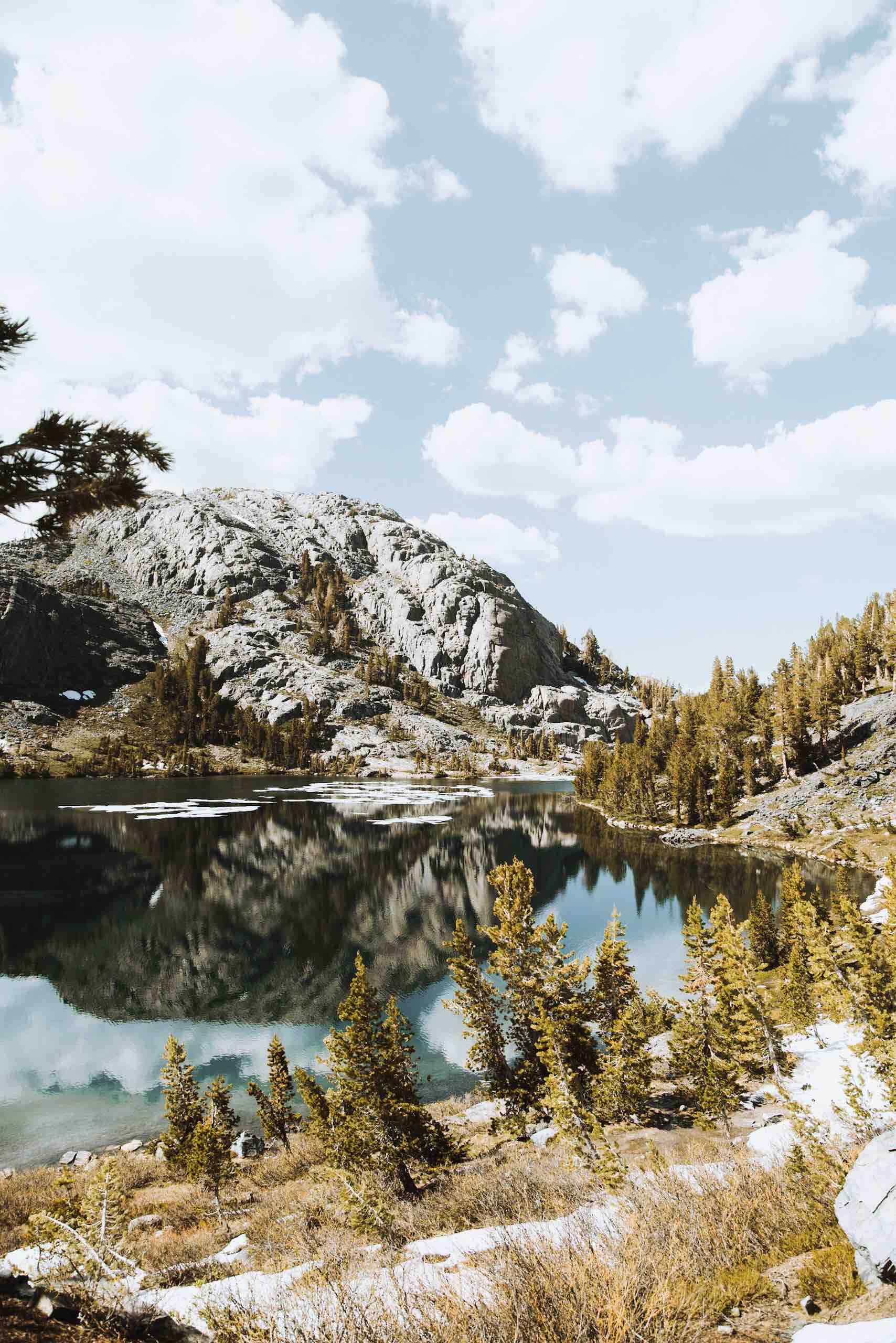 outdoor, green, tranquil scene, www.crm-media.com, water, gray, brown, leaf, plant, mountain, wilderness, day, beauty in nature, snow, nature, rocky, plants, Phone HD Wallpaper