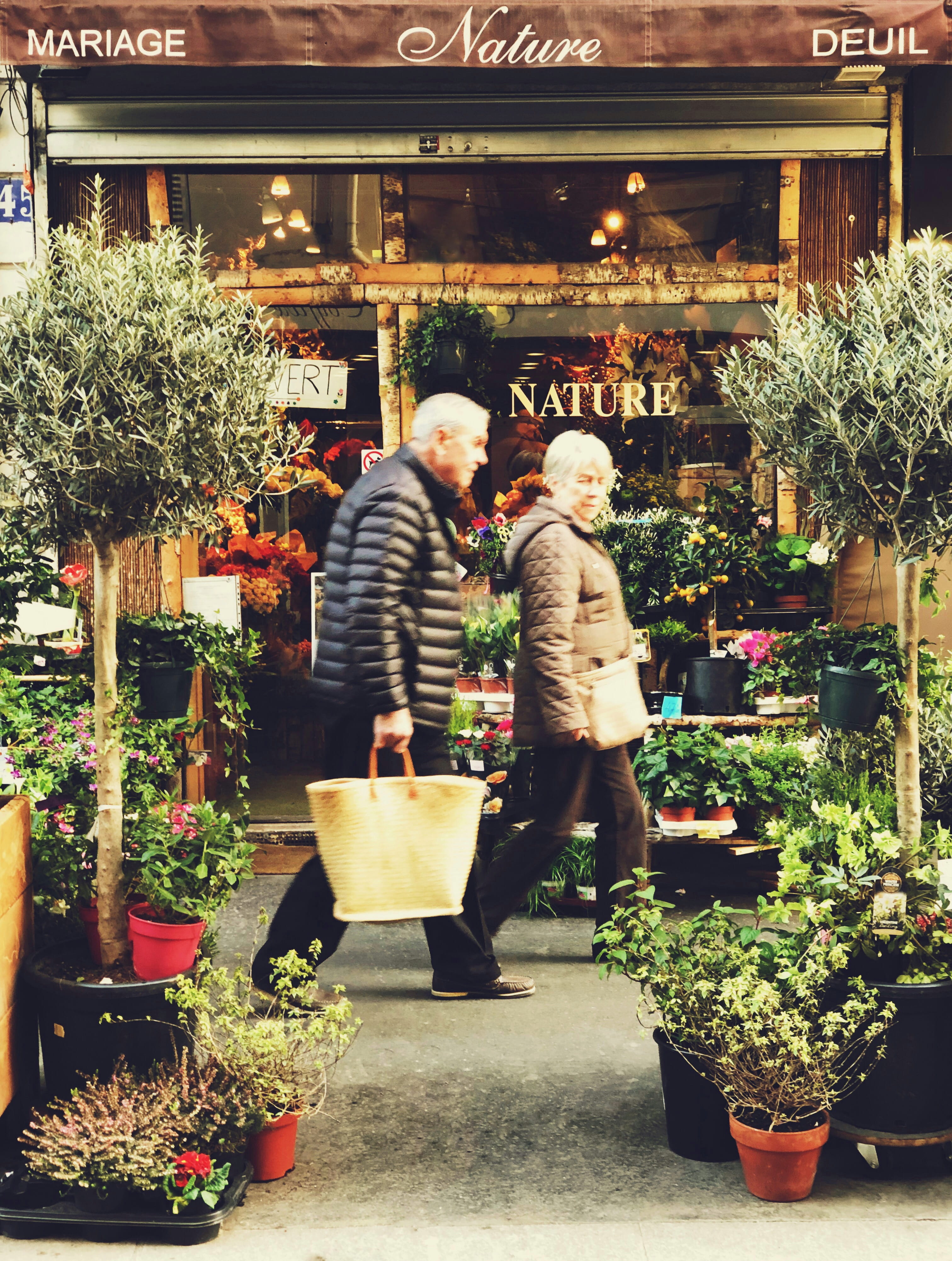plants, potted plant, men, women, flowering plant, store, plant, 4K, choice, sale, shopping, full length, flower shop, walking, consumerism, couple - relationship, Phone HD Wallpaper