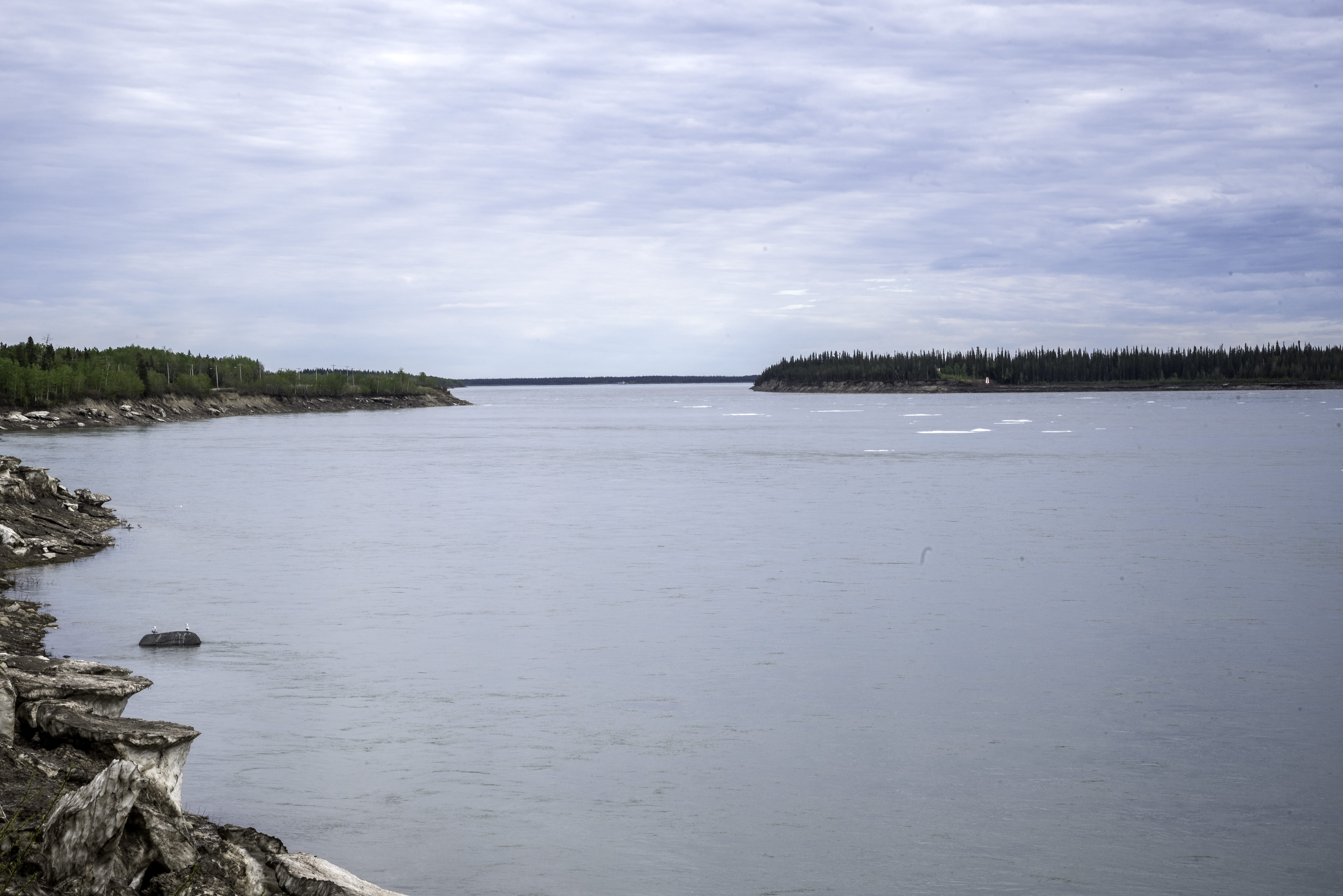non-urban scene, cloud - sky, idyllic, tree, land, fort, providence, northwest territories, tranquil scene, lake, public domain, nature, sea, cloudy skies, HD Wallpaper
