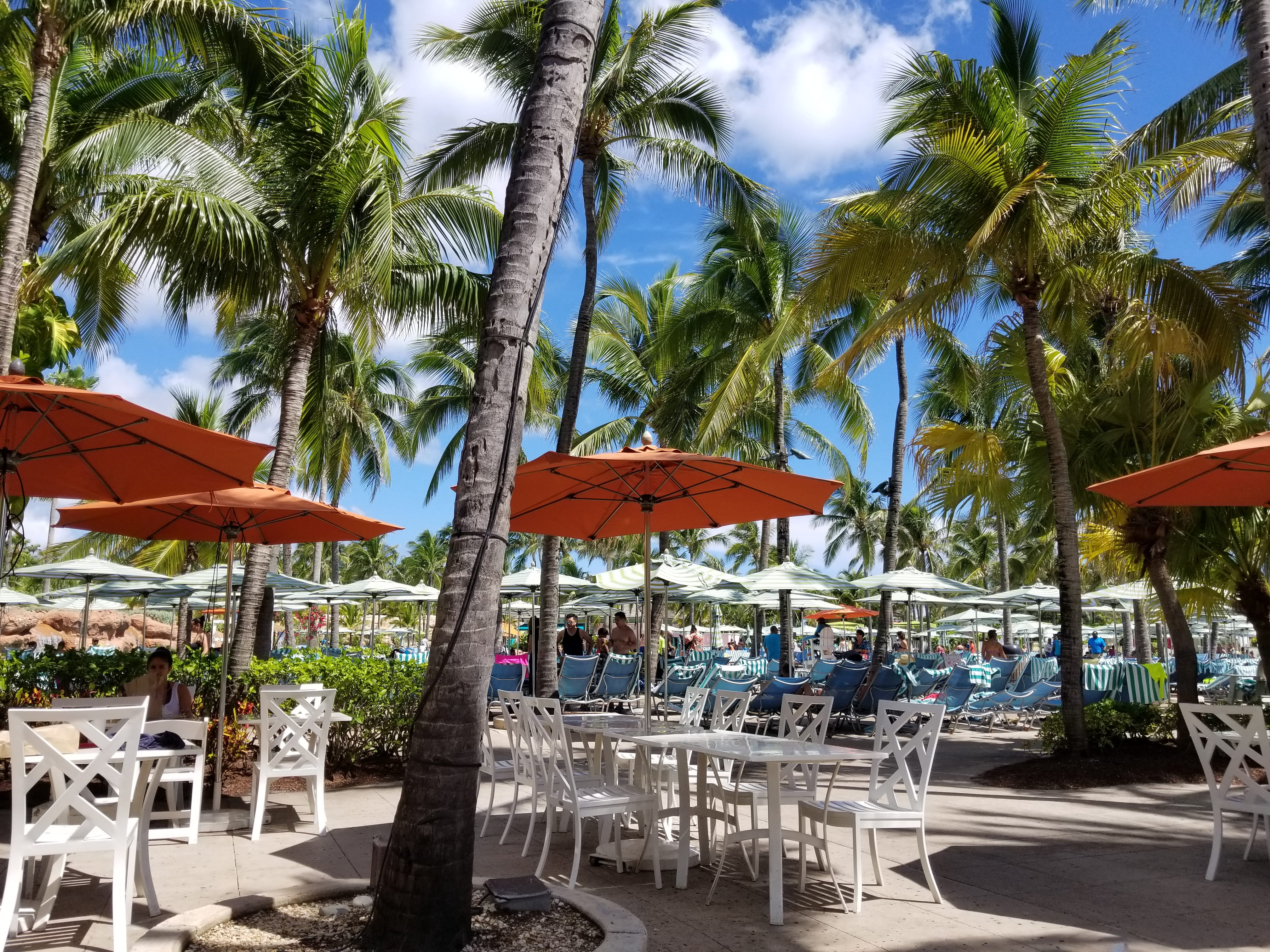 nature, canopy, parasol, the bahamas, 4K, beach, protection, water, land, table, plant, tree, umbrella, new providence, lounge chair, palm tree, outdoors, HD Wallpaper