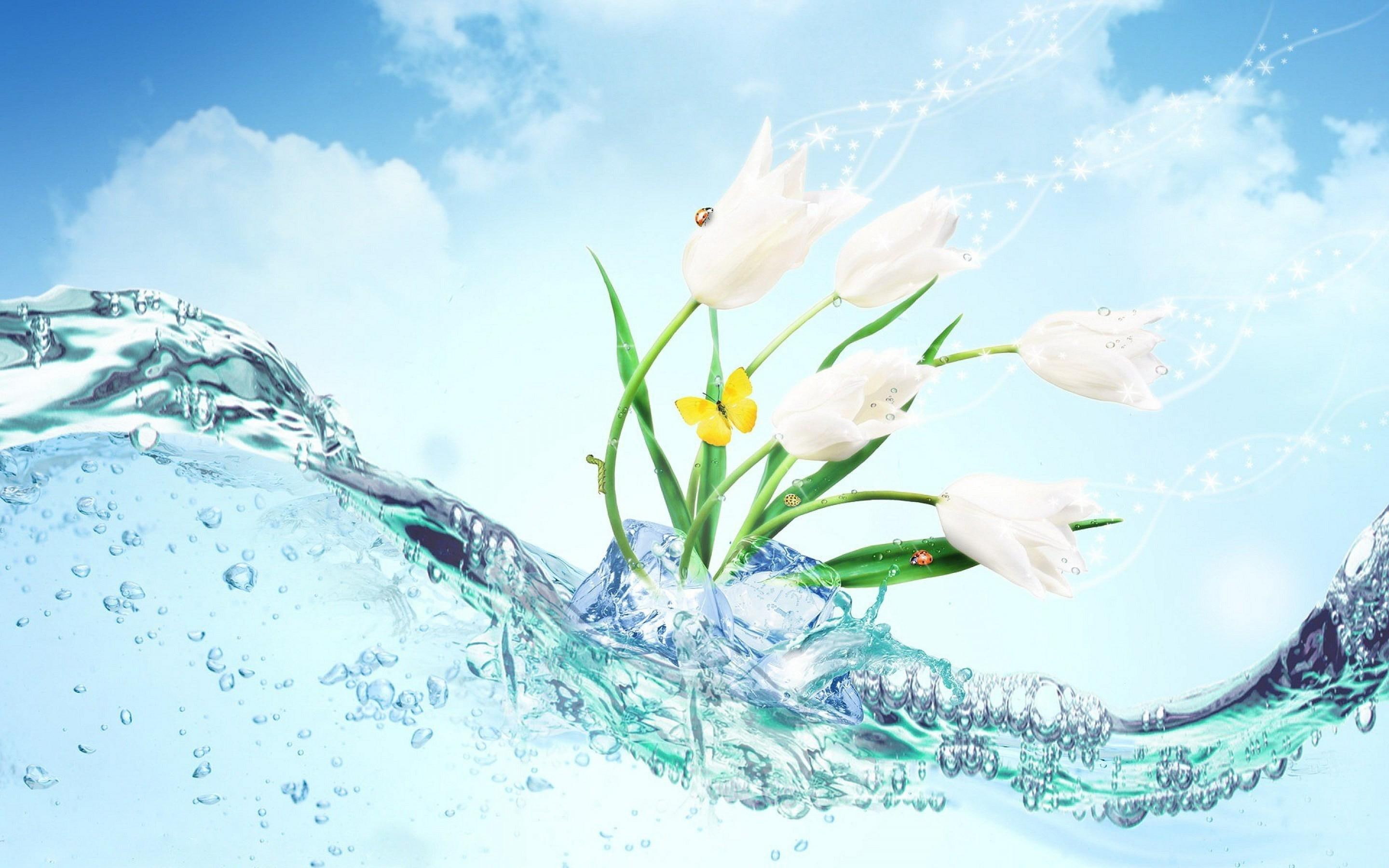 artwork, fresh, tulips related, 2K, con, fresco, nature, white flowers, ambientador, olor, HD Wallpaper