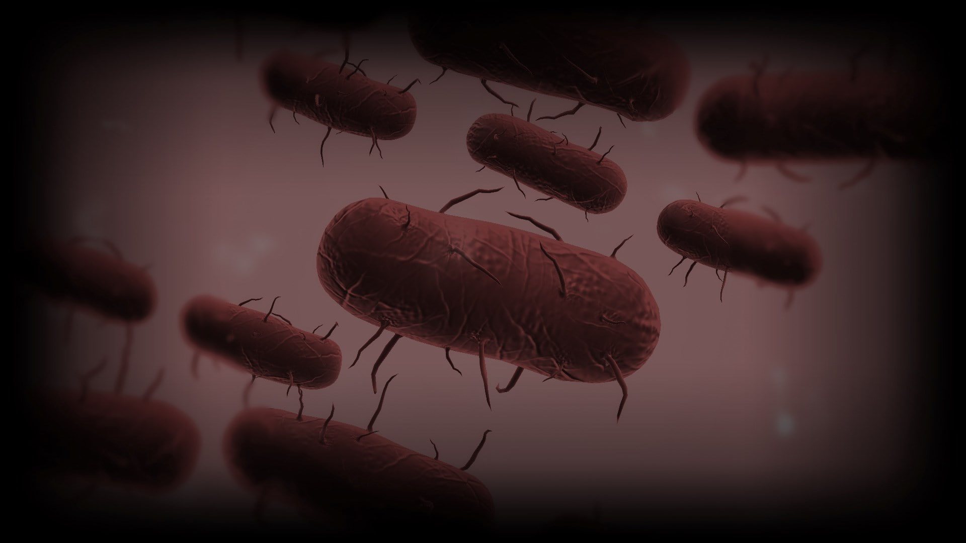 plague inc evolved, 1080P, HD Wallpaper