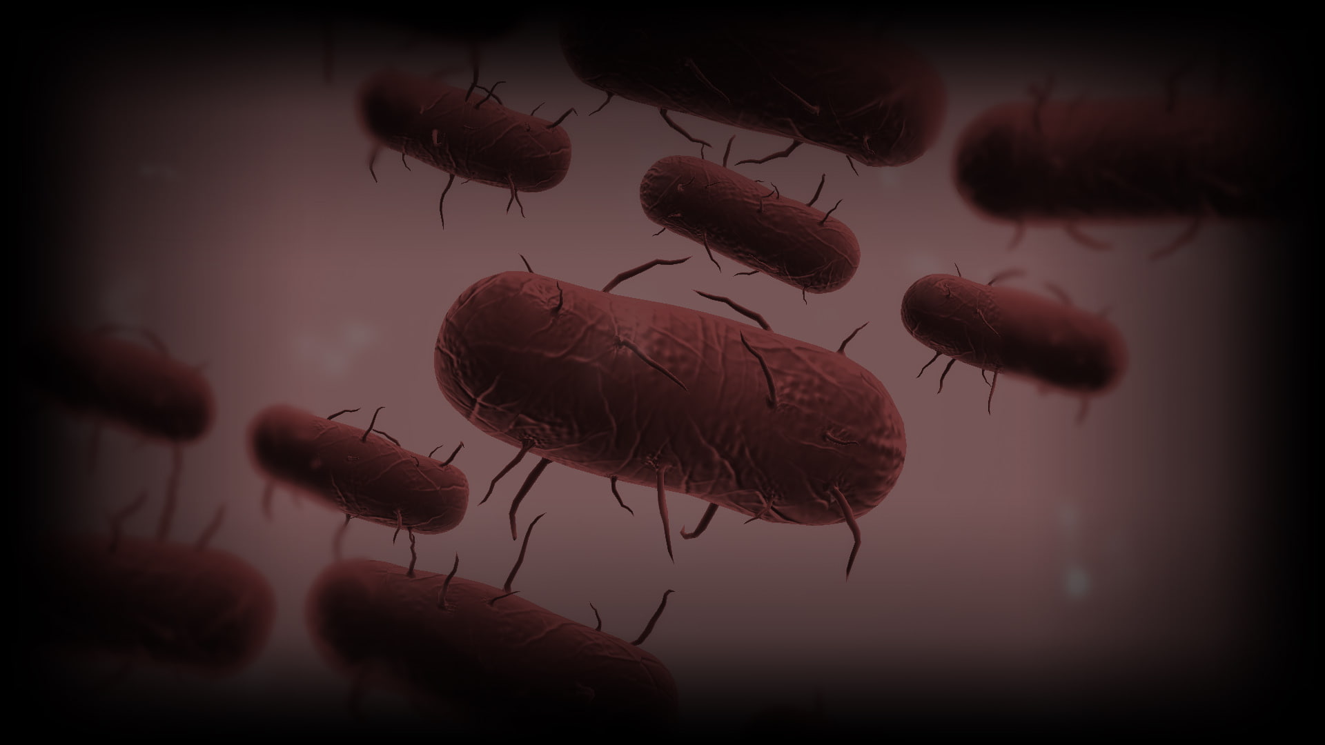 Plague Inc: Evolved, 1080P, Video Game, HD Wallpaper