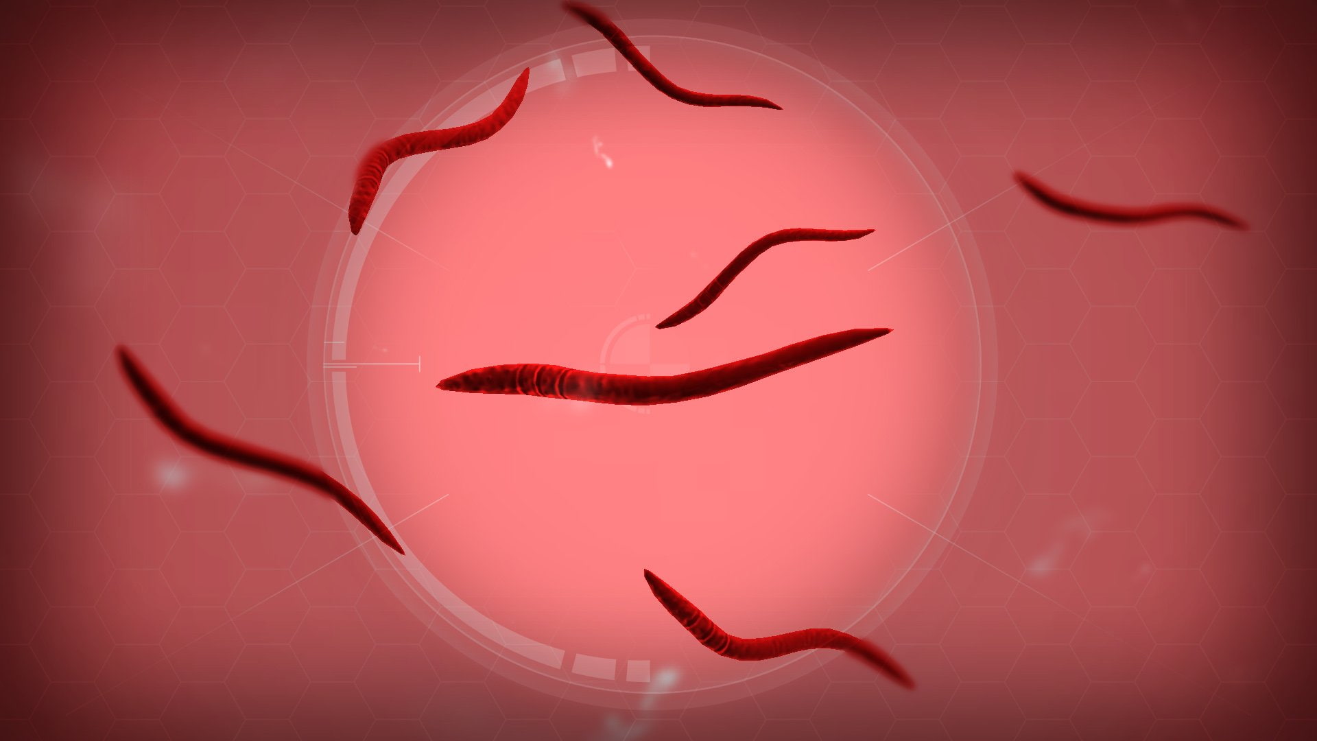 virus, simulation, bug, evolved, 1080P, plague inc, strategy, horror, plague, HD Wallpaper