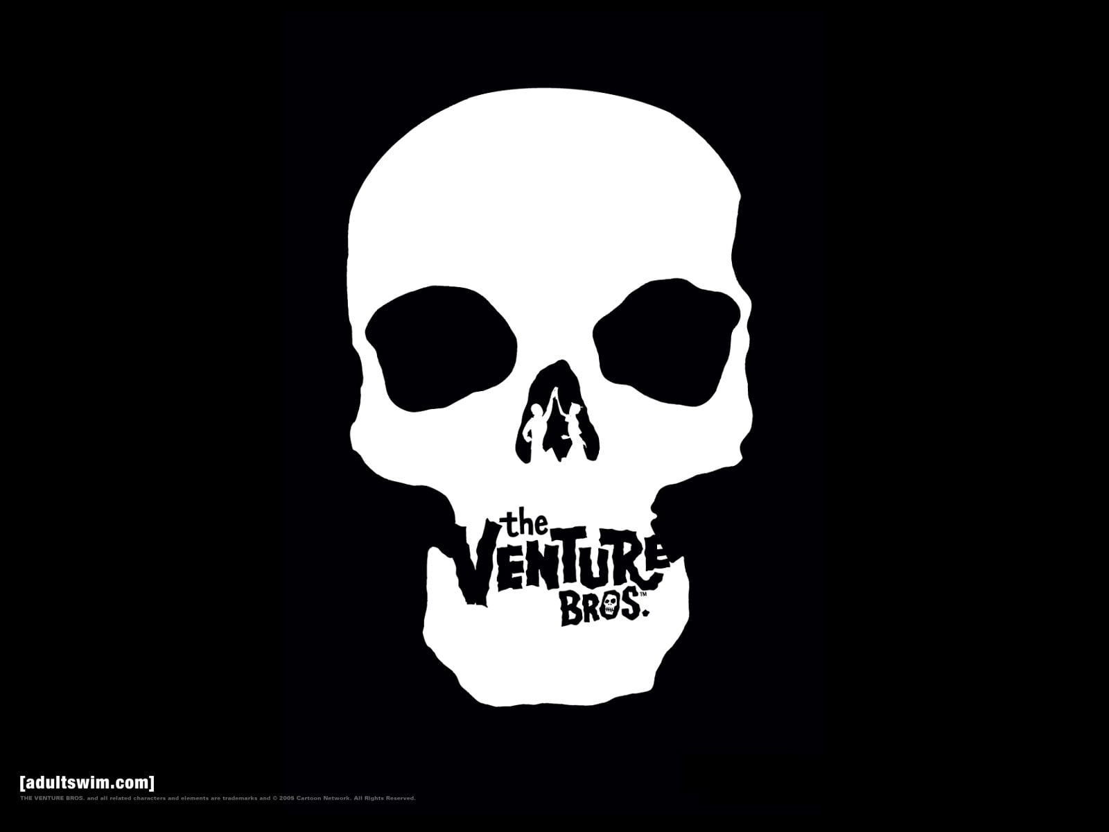 human skeleton, spooky, horror, indoors, human skull, men, fear, one person, human bone, 720P, copy space, black background, skull, The Venture Bros., HD Wallpaper