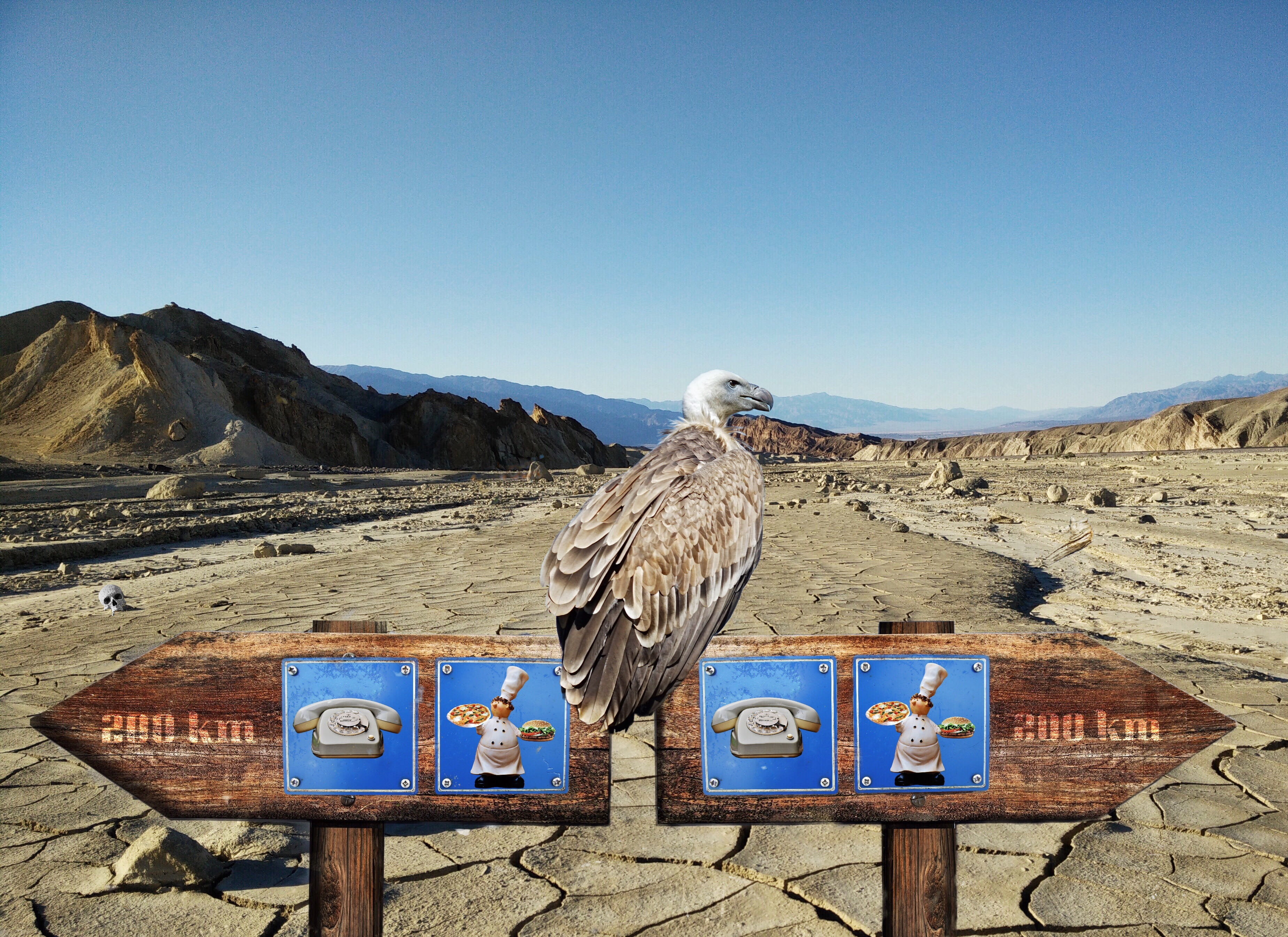 orientation, point of view, two directions, wooden post, losing streak, animal, outdoors, white, decide, solutions, humor, sign, location, 2K, opportunity, HD Wallpaper