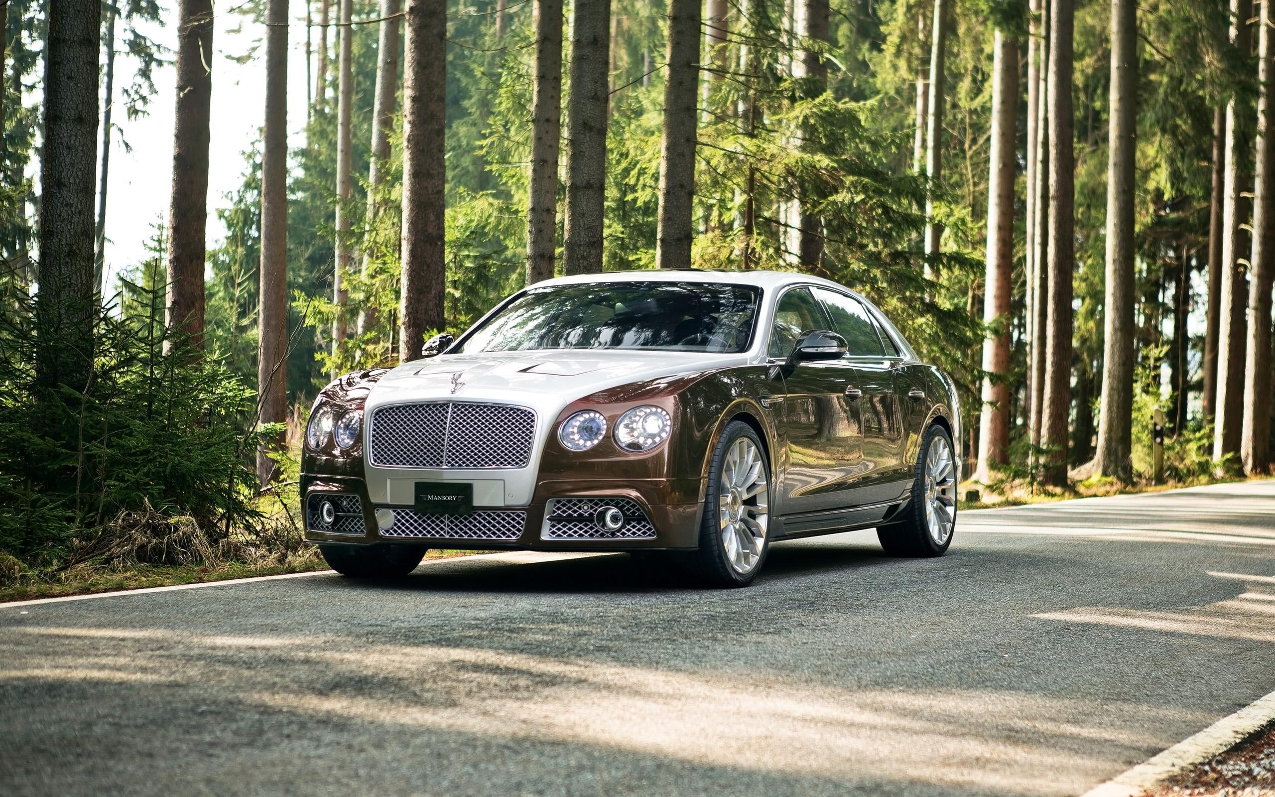 flyin, flying, 2K, bentley, mansory, brown, white, cars, spur, 2014, HD Wallpaper