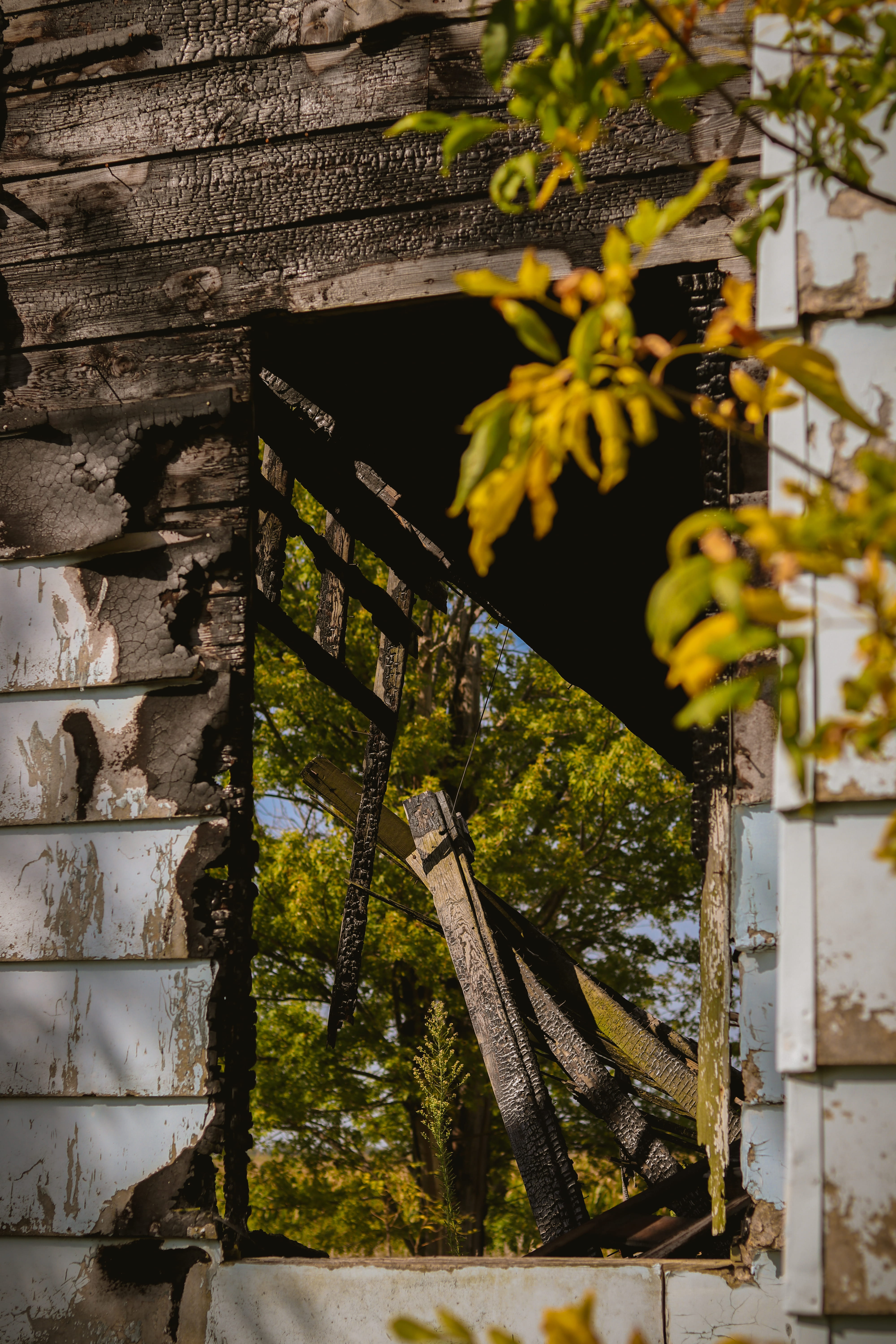 building exterior, 5K, rust, window, rustic, low angle view, outdoors, barn, farm, gray, abandoned, adventure, architecture, farmhouse, sunlight, nature, Phone HD Wallpaper