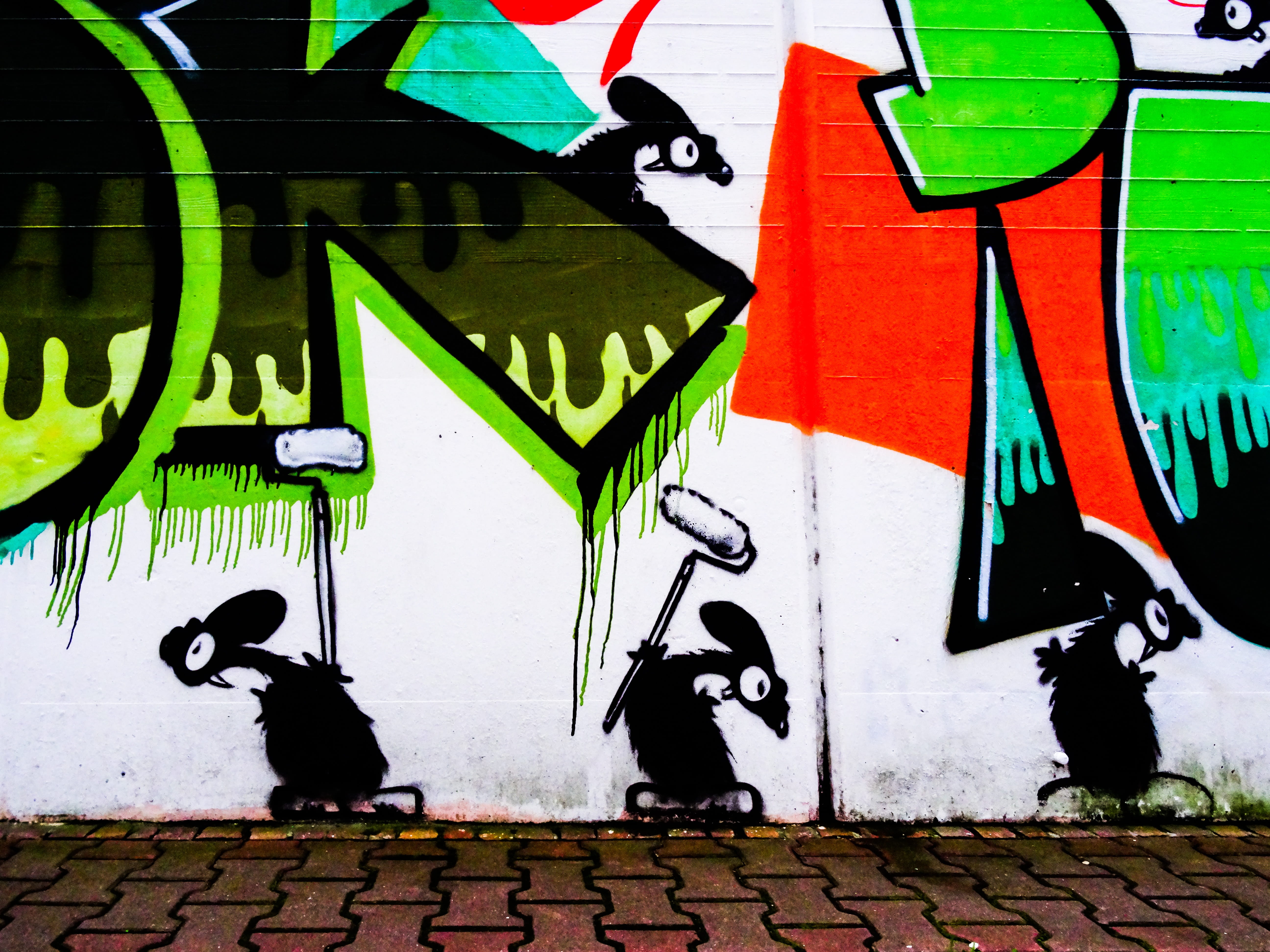 street art, creativity, sprayer, artfully, murals, representation, animal representation, 5K, painting, drawing, artwork, facade, urban art, wall painting, HD Wallpaper