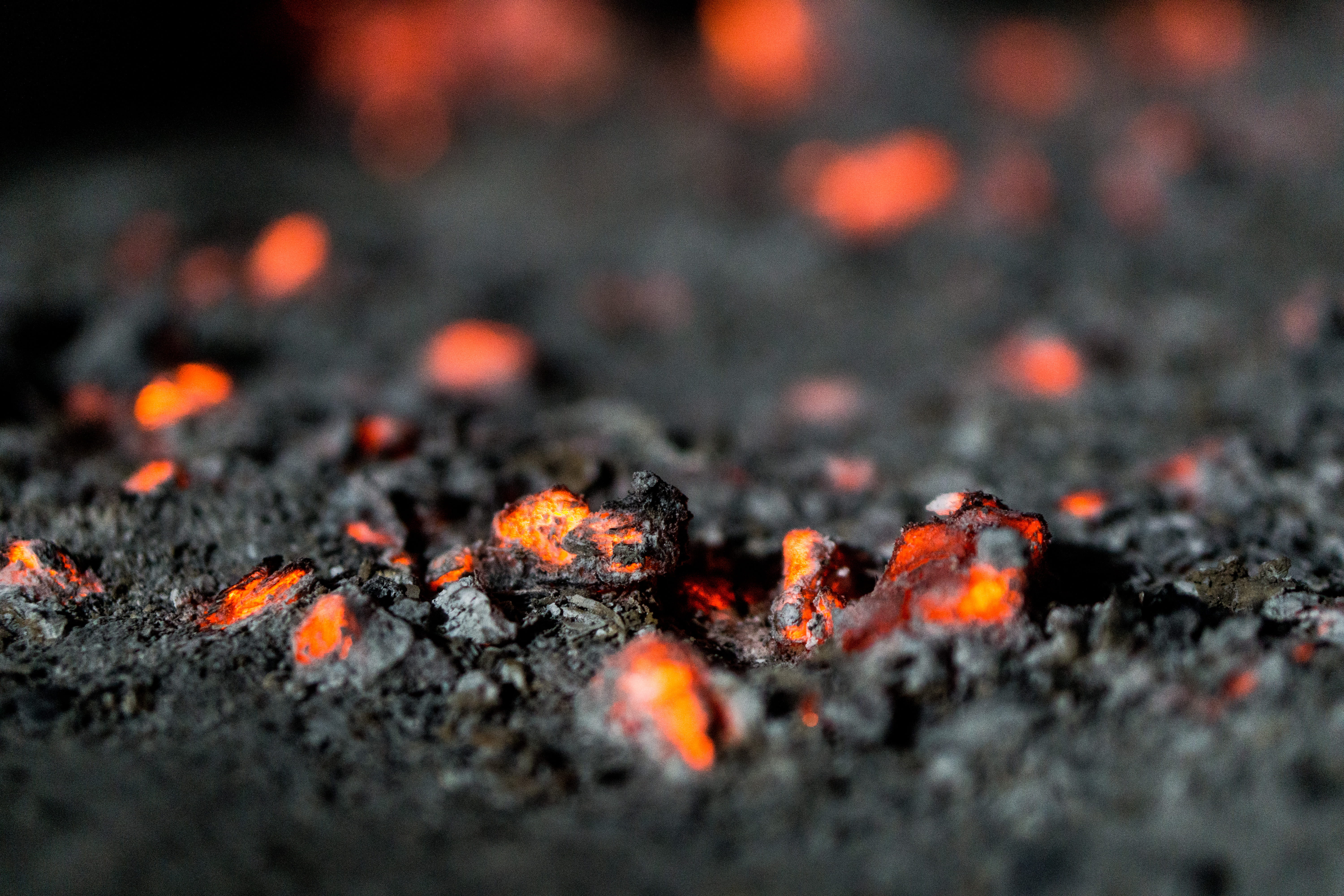 tree, forest, no people, ash, heat - temperature, burnt, fire, coal, close-up, embers, cinder, environment, ceniza, selective focus, backgrounds, glowing, HD Wallpaper