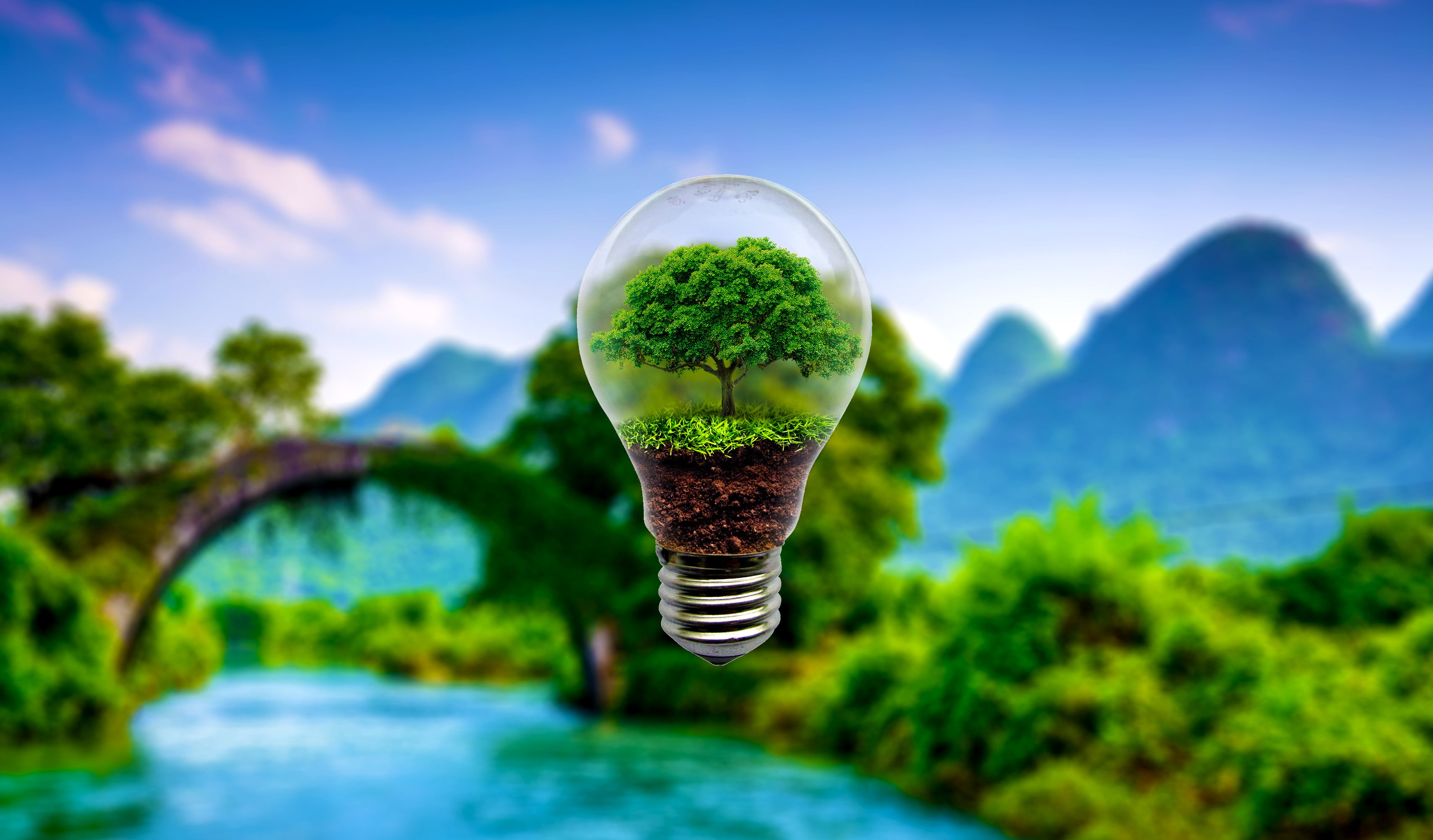 freshness, outdoors, tranquility, plant, electricity, 2K, nature, water, scenics - nature, landscape, focus on foreground, fuel and Power Generation, tree, HD Wallpaper
