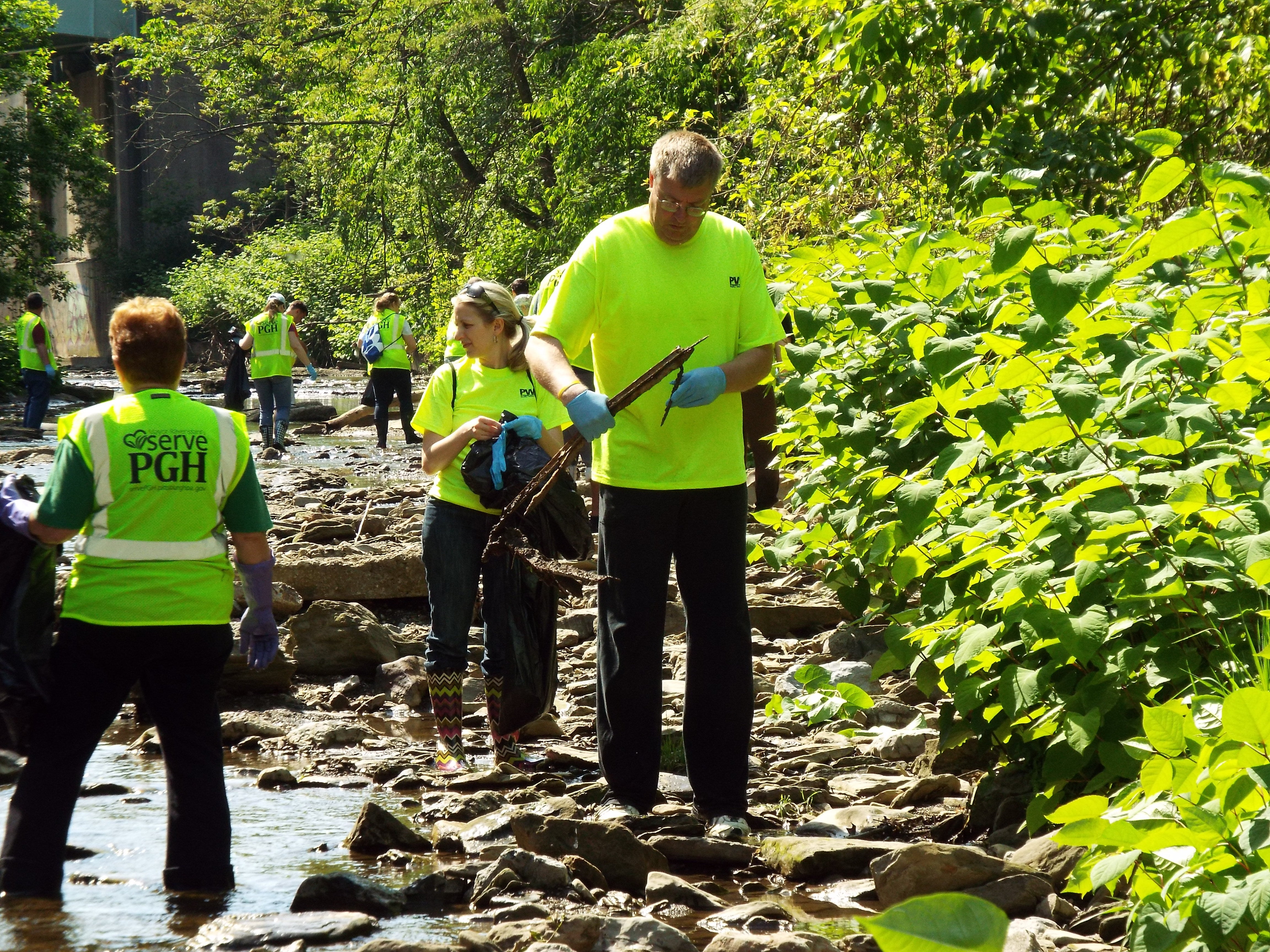 holding, stream cleaning, formation, people, planting, charity and relief work, plant, stick, sport, 4K, rock, voluntary, sunlight, altruism, women, standing, HD Wallpaper