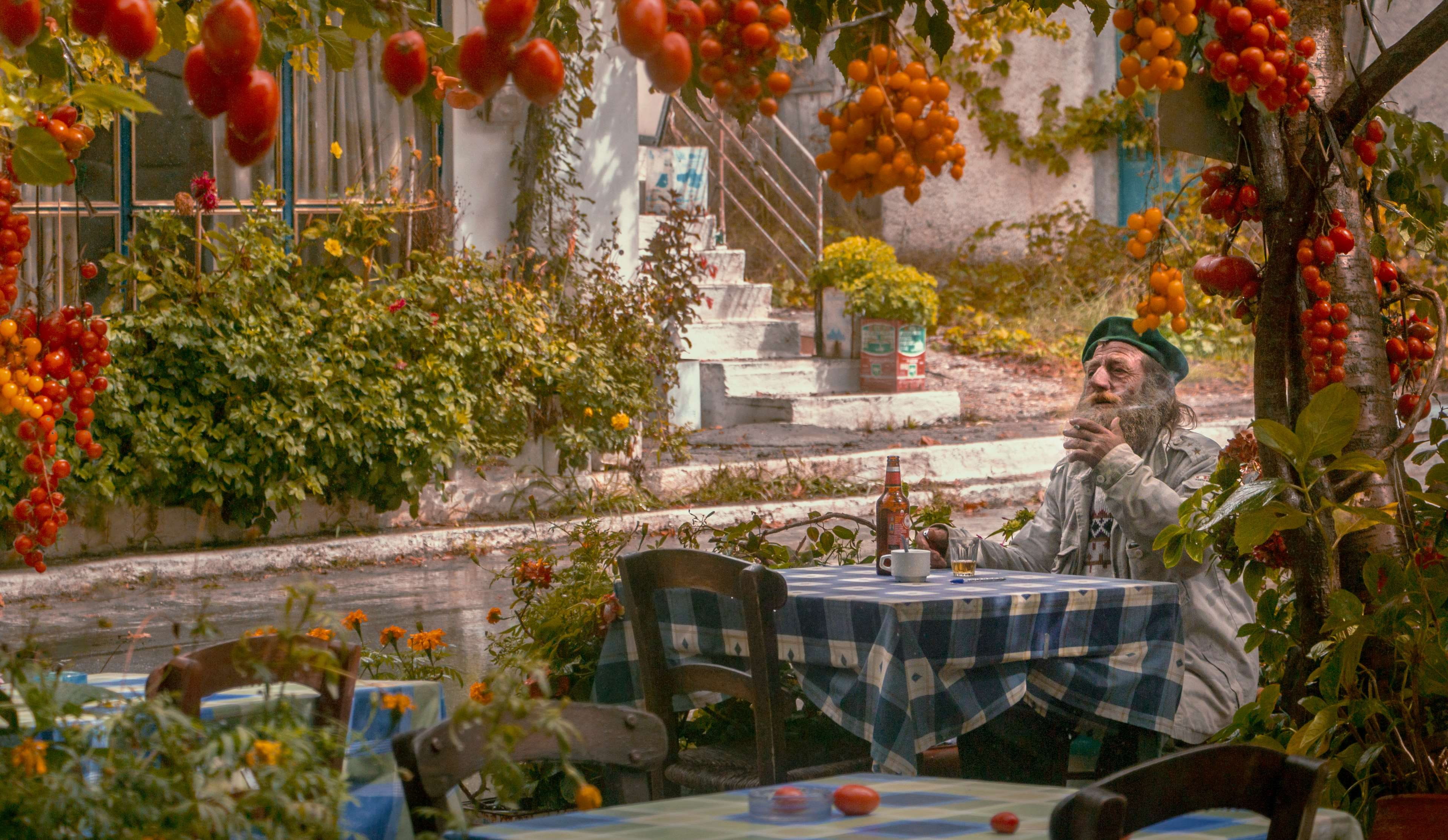 greece, lasithi, garden, plant, women, smiling, 4K, celebration, outdoors, old man, frisch, leisure activity, lifestyles, young adult, cigarette, melancholy, HD Wallpaper