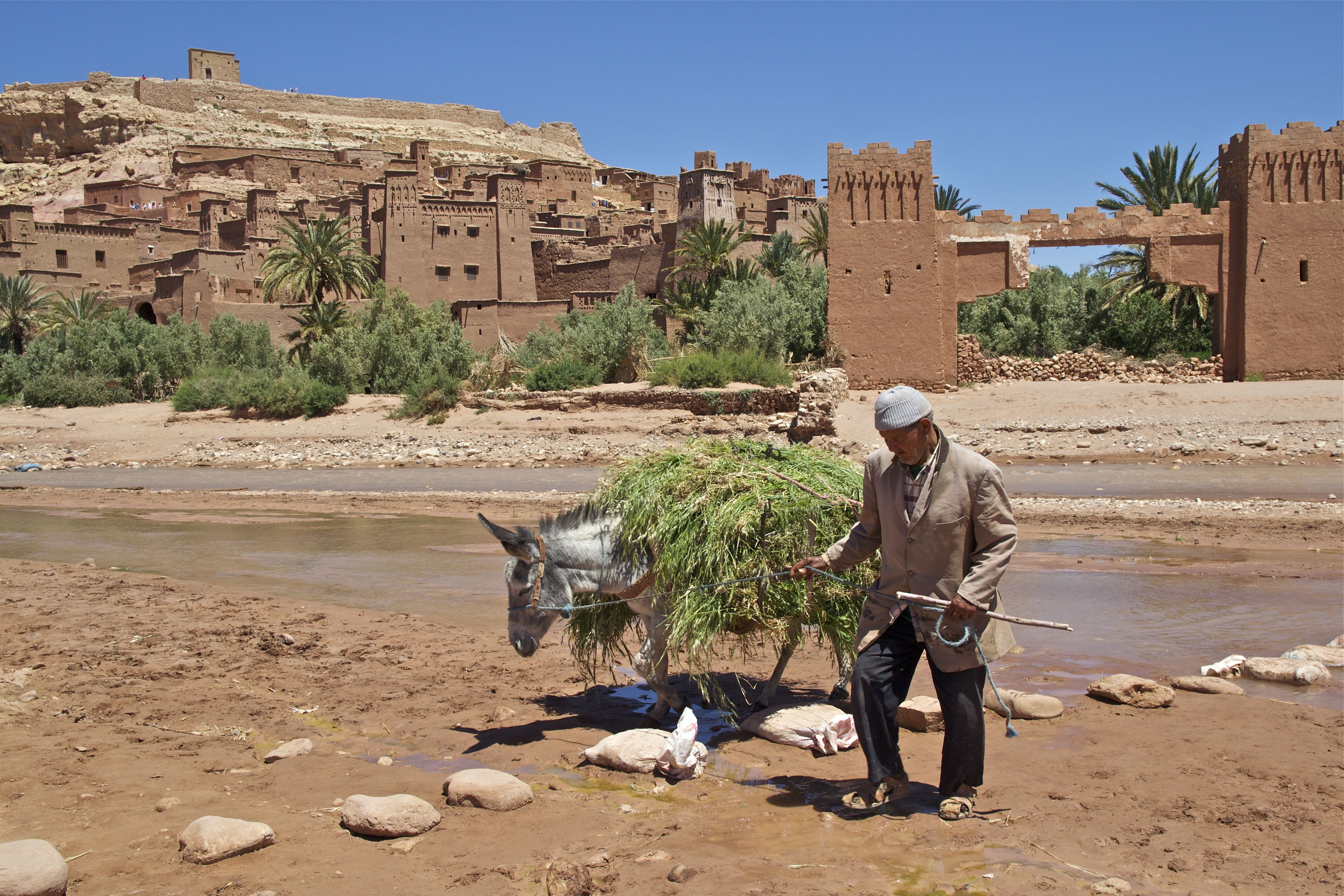 arabic, historic building, 5K, people, building exterior, architecture, film city, land, sun, men, plant, historically, water, clay, built structure, kasbah, HD Wallpaper