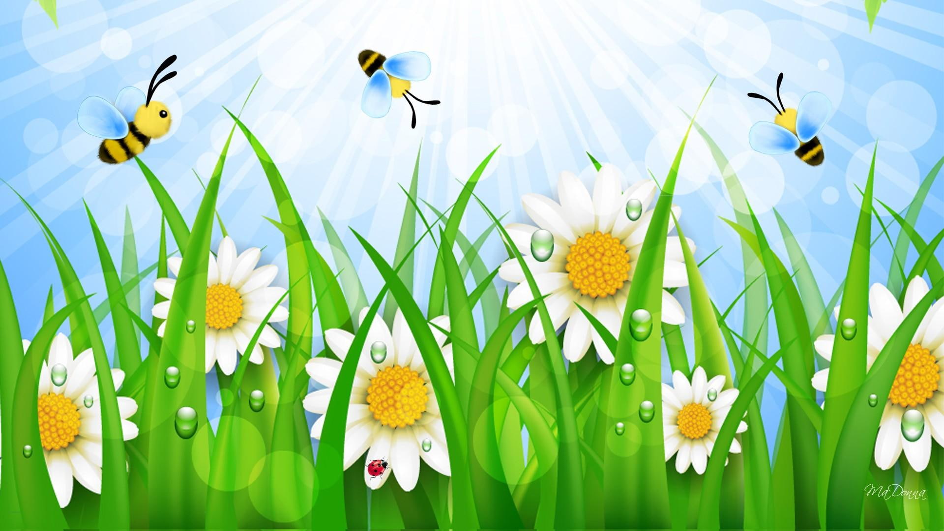 sunray, bee, bees, cute, flowers, wild, sun beams, bokeh, bright, daisies, blooms, 1080P, whimsical, grass, busy, HD Wallpaper