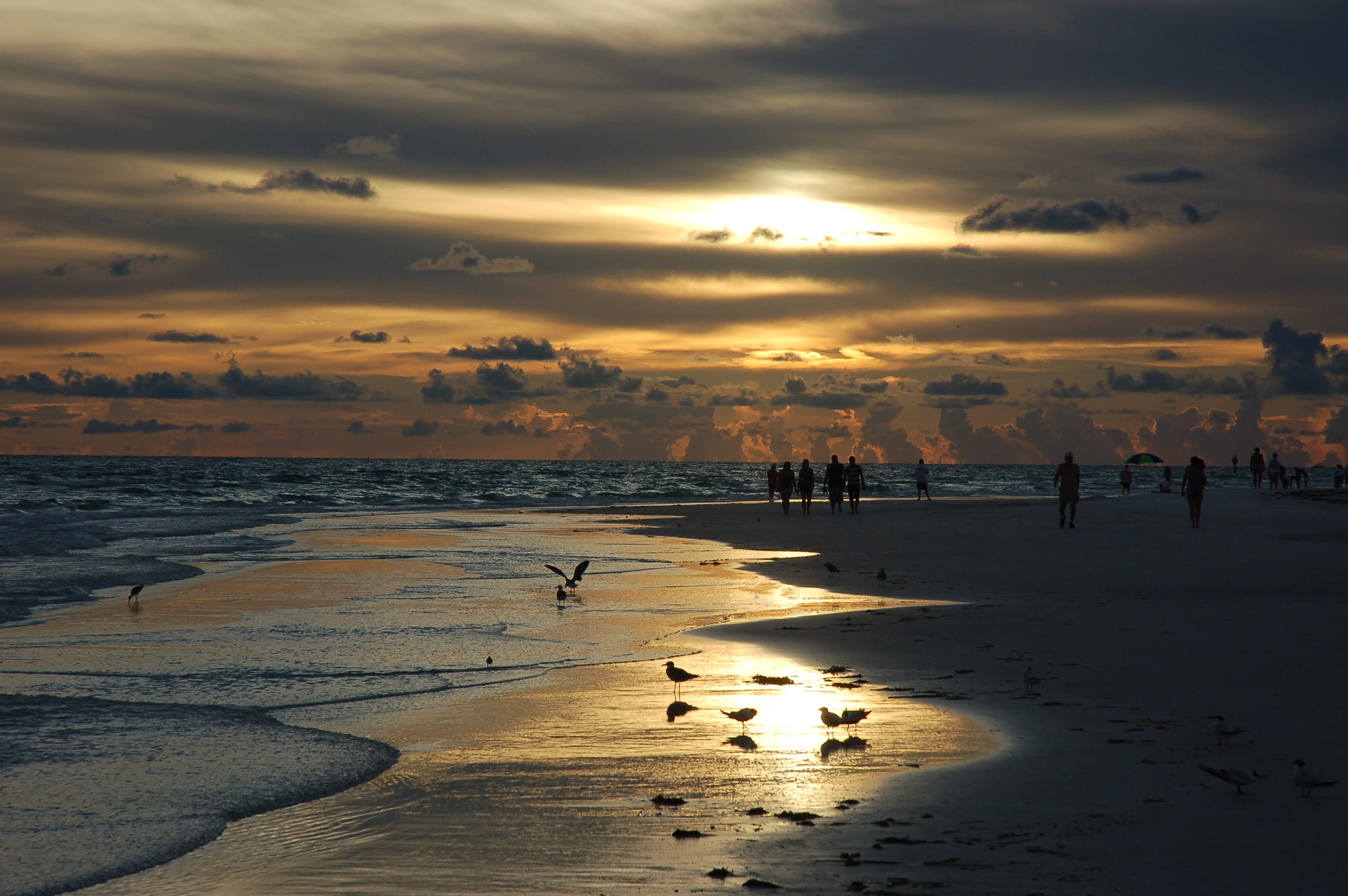 horizon over water, large group of people, sea, water, scenics - nature, low tide, sky, silhouette, sunlight, 2K, beauty in nature, nature, standing, tranquility, HD Wallpaper