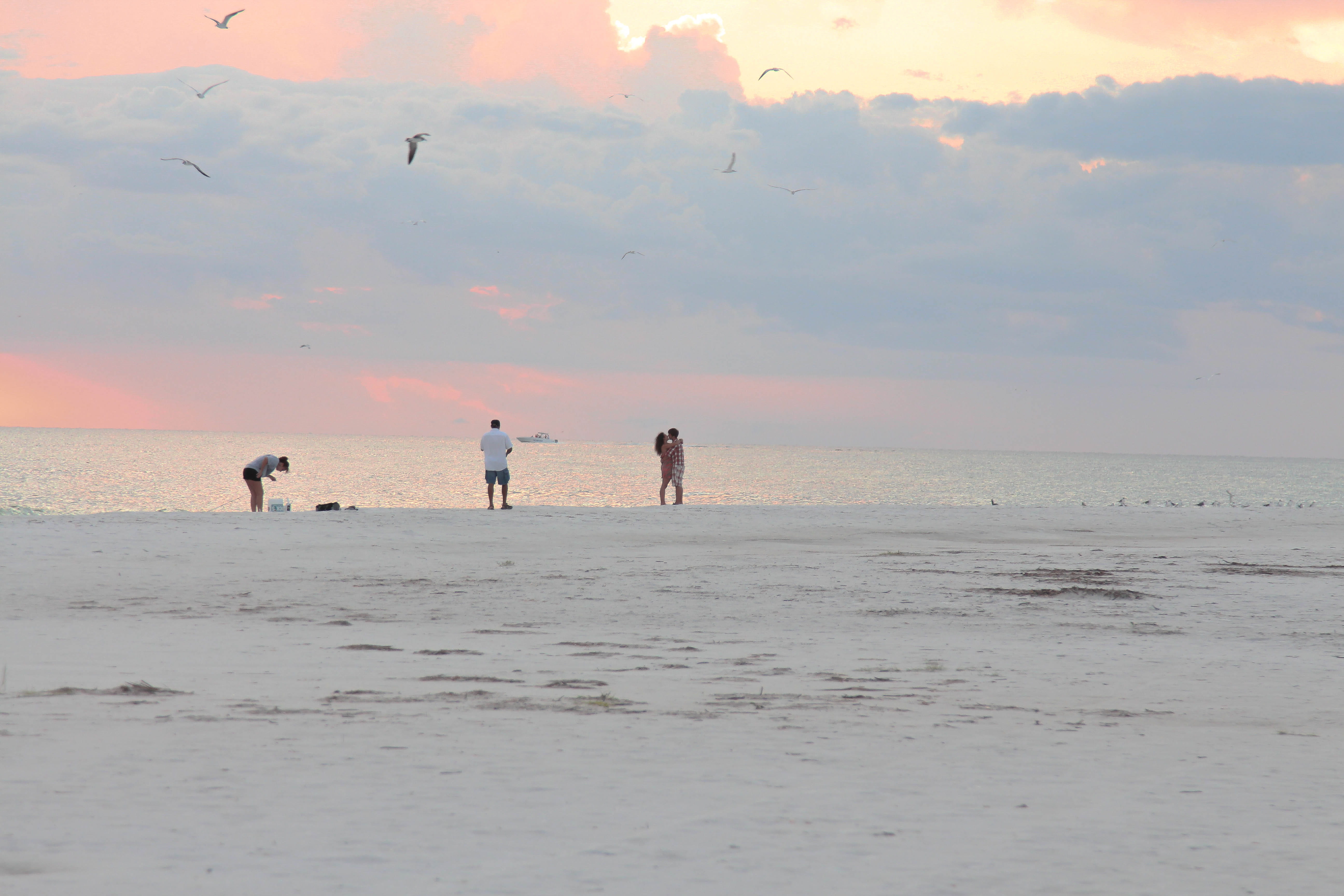 florida, men, horizon, cloud - sky, group of people, horizon over water, beach, 5K, love, beauty in nature, outdoors, togetherness, nature, fishing, leisure activity, HD Wallpaper