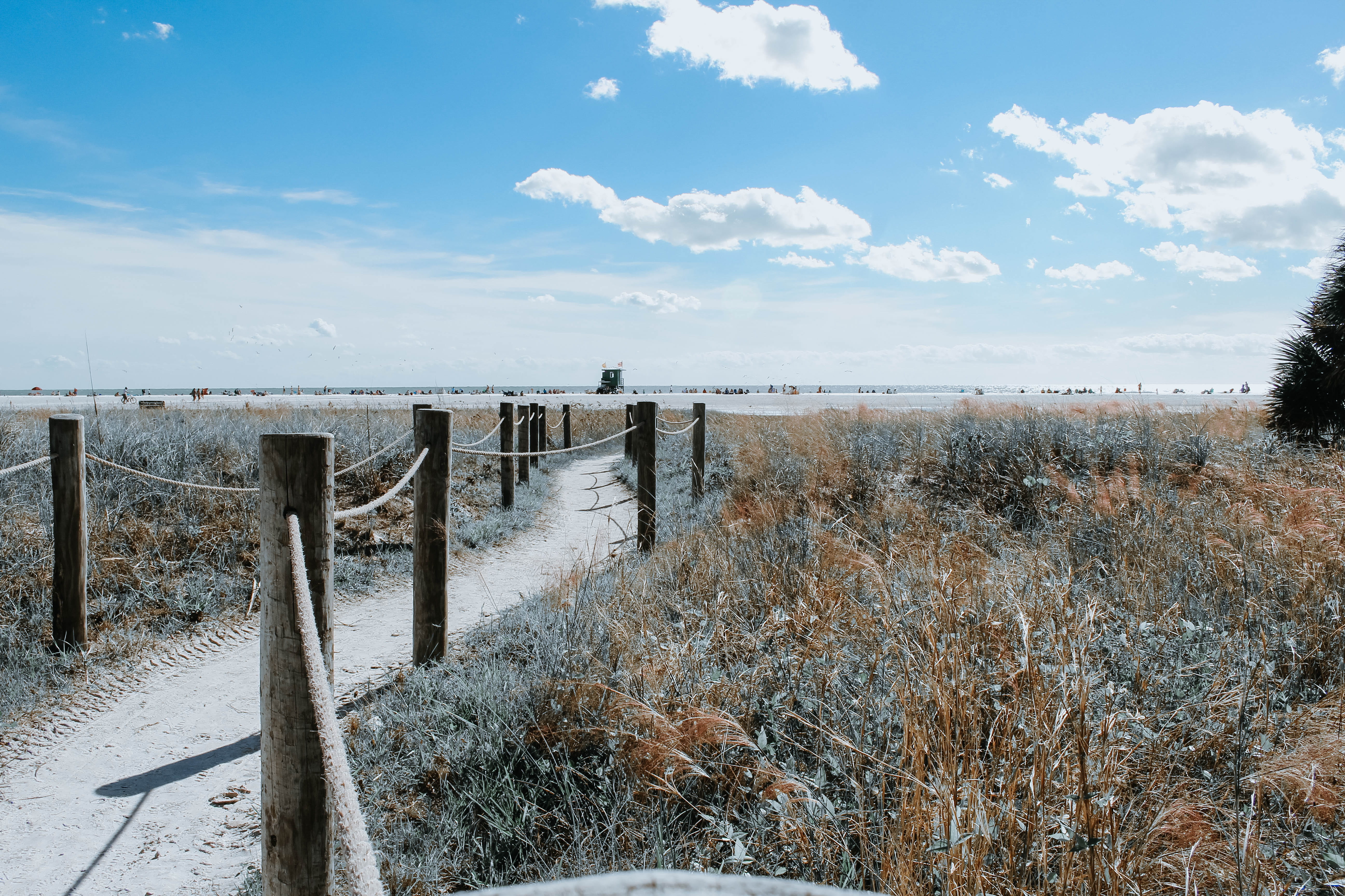 nature, walkway, boundary, scenics - nature, field, winter, non-urban scene, siesta key, fence, day, landscape, no people, land, water, beauty in nature, HD Wallpaper