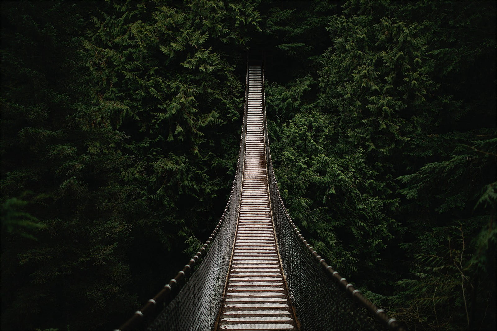 plant, track, necktie, outdoors, 720P, transportation, no people, foliage, diminishing perspective, bridge, rail transportation, tree, land, nature, parallel, HD Wallpaper