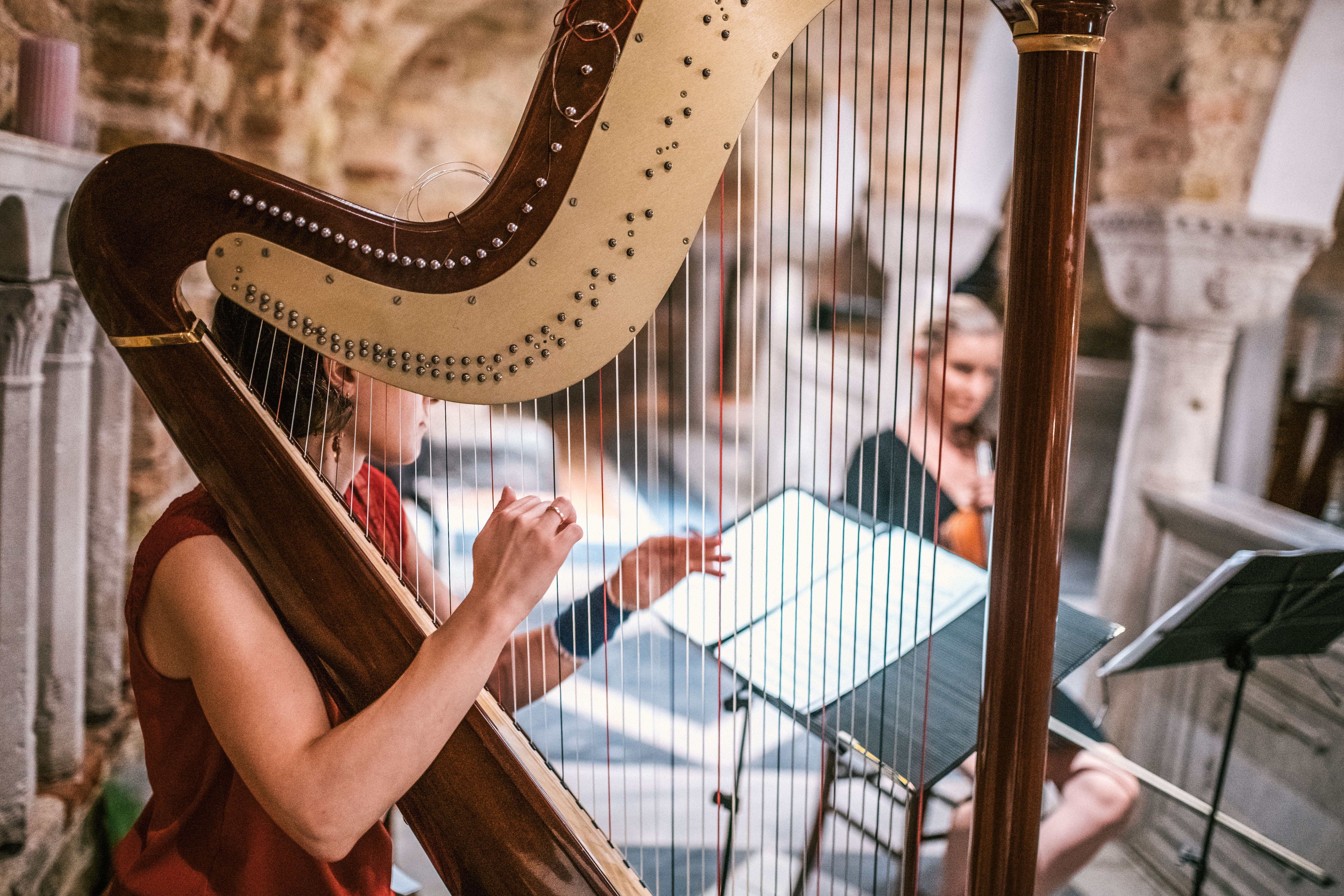 music, females, woman, people, plucking an instrument, concert, happiness, instrument, portrait, harp, hairstyle, musical equipment, emotion, hands, classical, HD Wallpaper