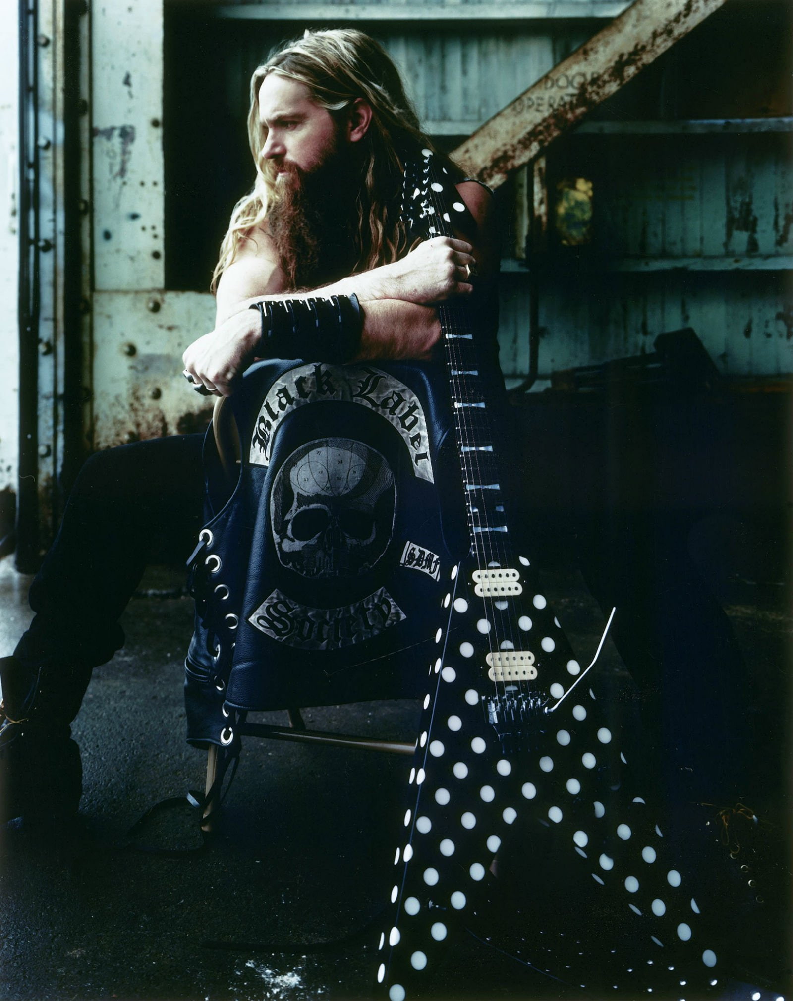 guitar, label, heavy, metal, ozzy, black, society, zakk, 1080P, wylde, Phone HD Wallpaper
