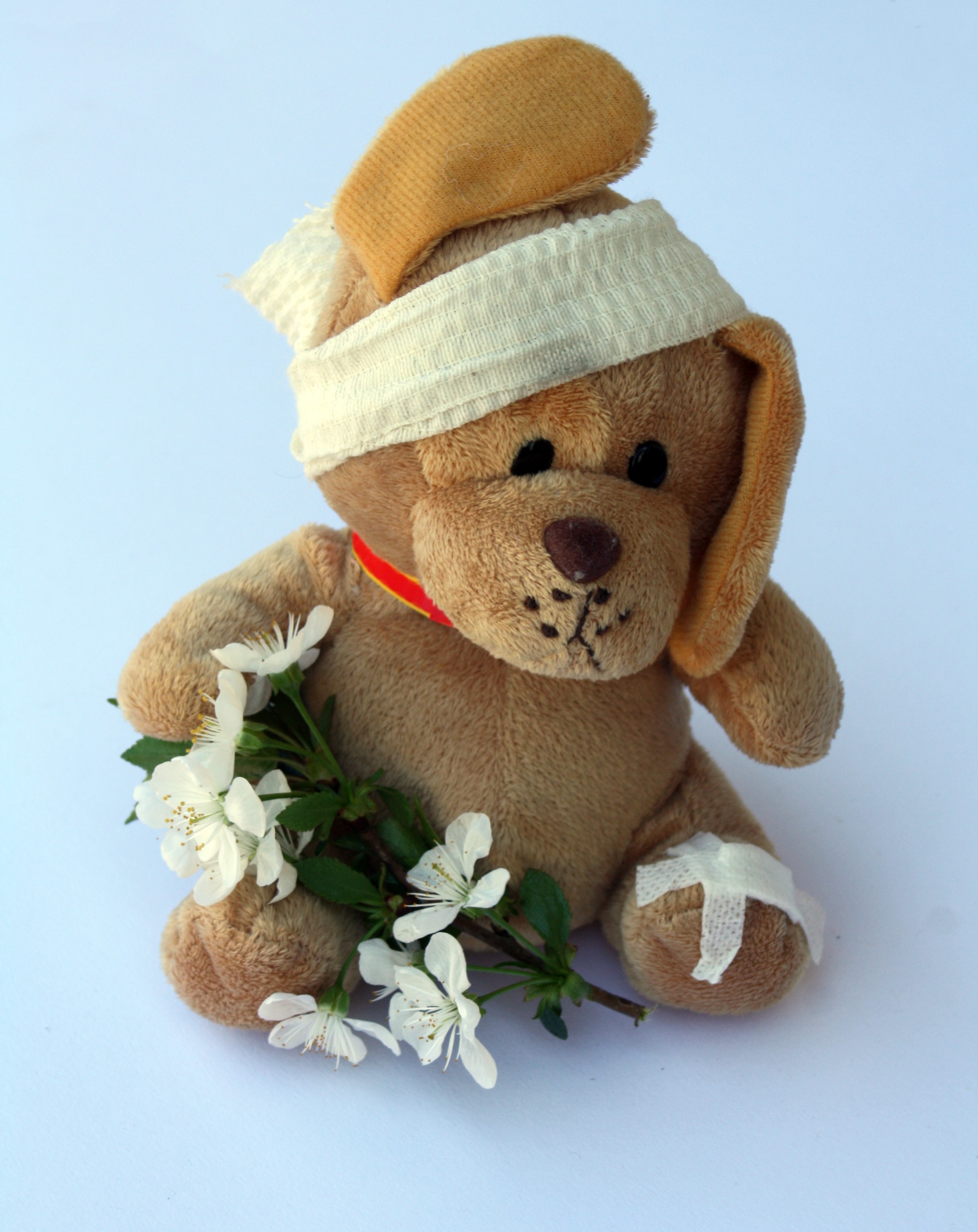 injured, hat, leg, niedlig, mammal, dog, brown, creativity, improvement, 2K, still life, sad, visit get well soon, studio shot, human representation, teddy, Phone HD Wallpaper