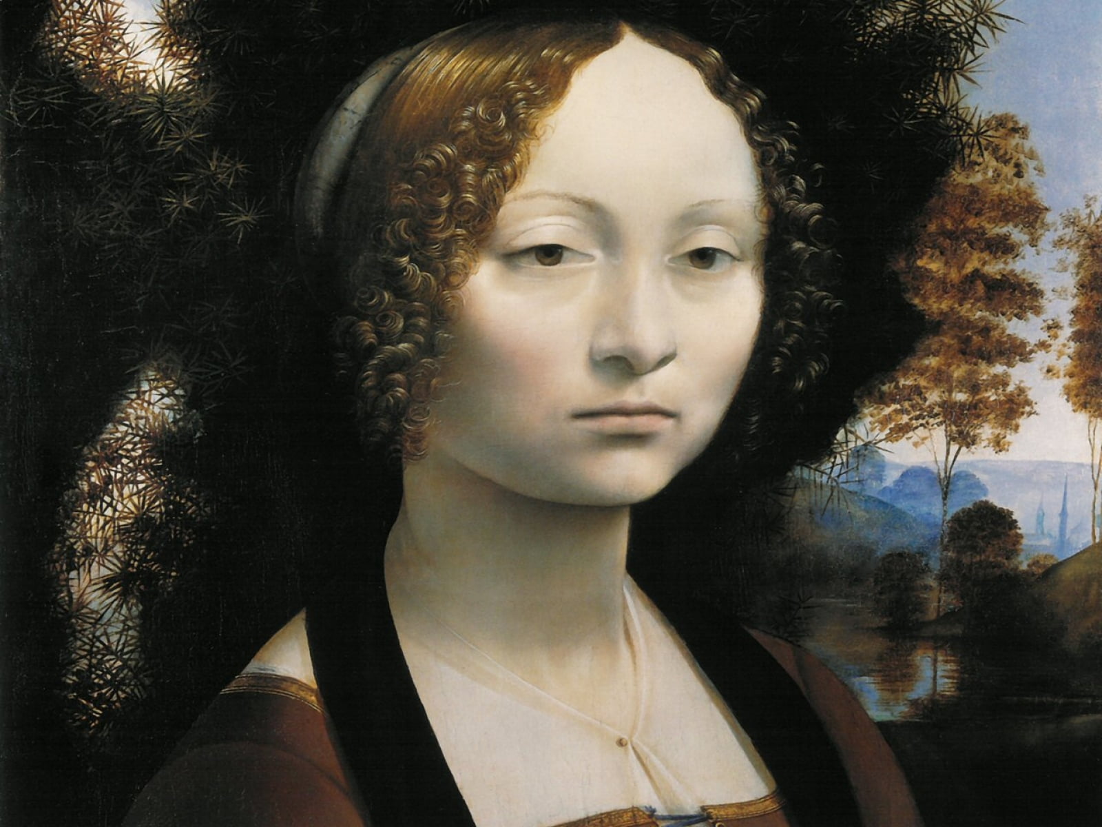 vinci, leonardo, ginev, one person, digital composite, 720P, hairstyle, woman, curly hair, serious, da, looking, looking away, art, adult, women, long hair, HD Wallpaper