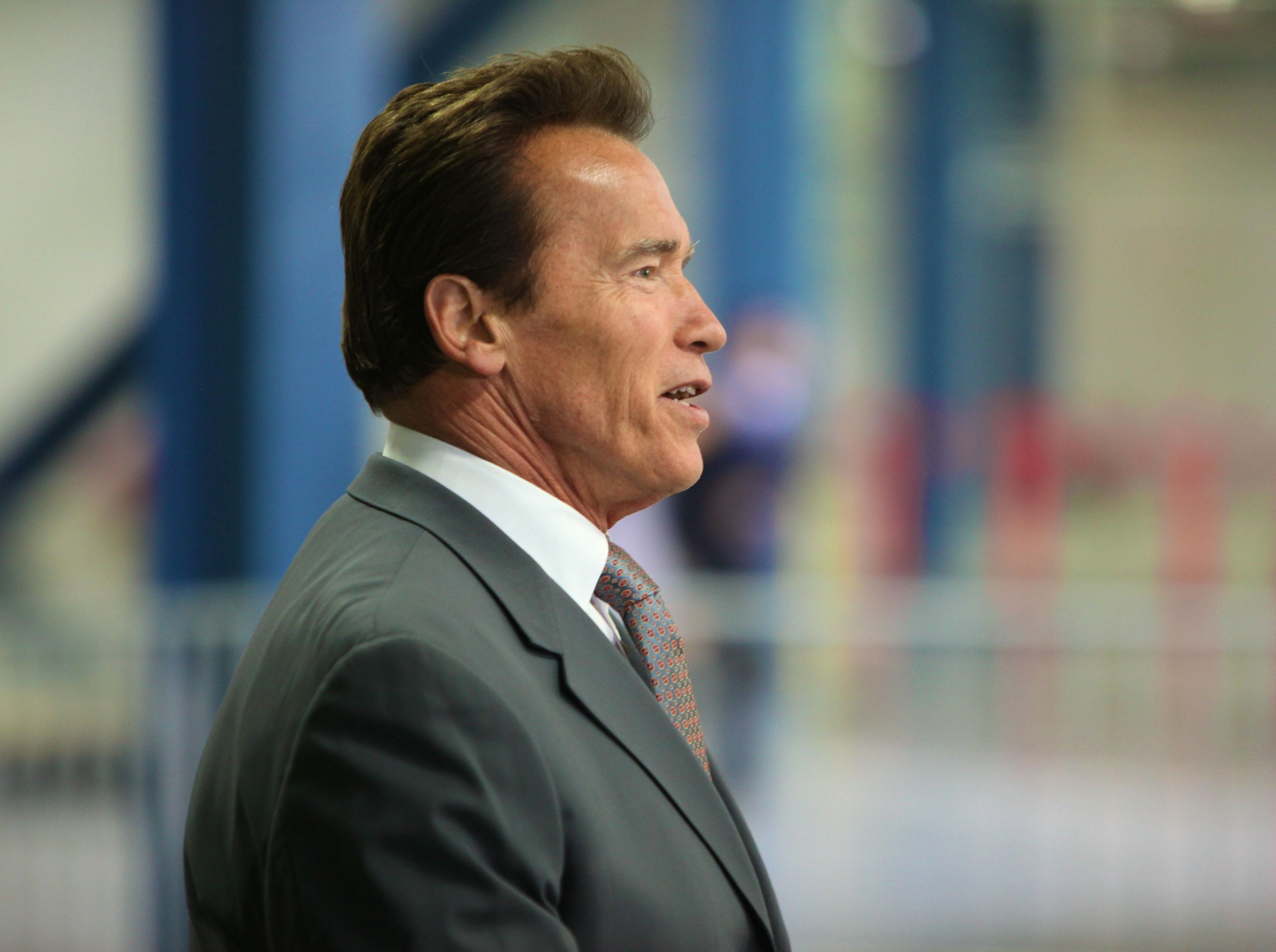 suit, businessman, celebrity, coat, profile view, males, business, one Person, hollywood, manager, real People, men, expertise, white Collar Worker, schwarzenegger, HD Wallpaper