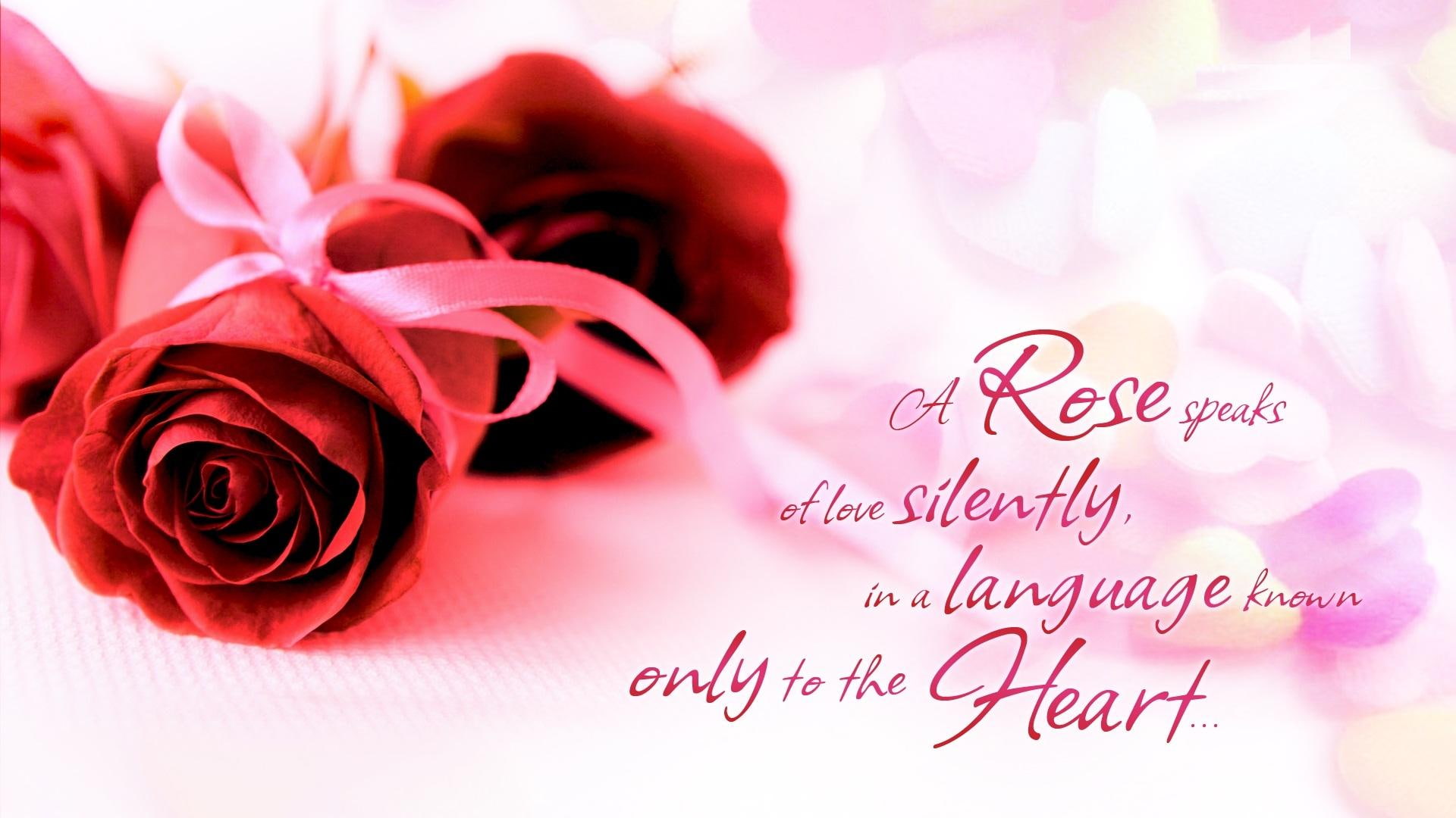 ribbon, quote, valentines day, speaks, 3d and abstract, love, rose, valentines, 1080P, roses, HD Wallpaper