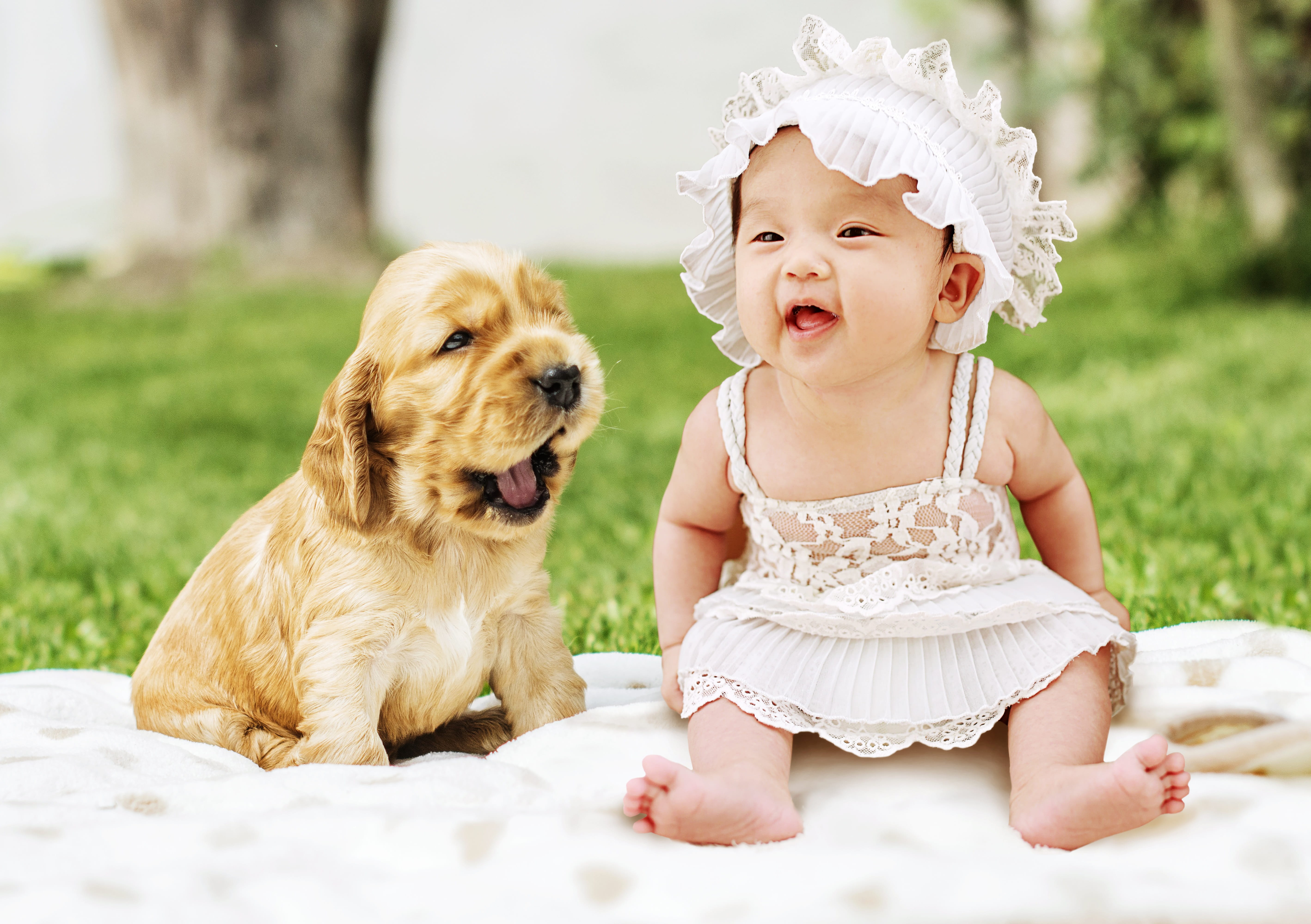 5K, mammal, cute, mouth open, baby, pets, girl, funny, together, joy, puppies, child, one animal, canine, cheerful, fun, pet, joke, friendship, laugh, HD Wallpaper