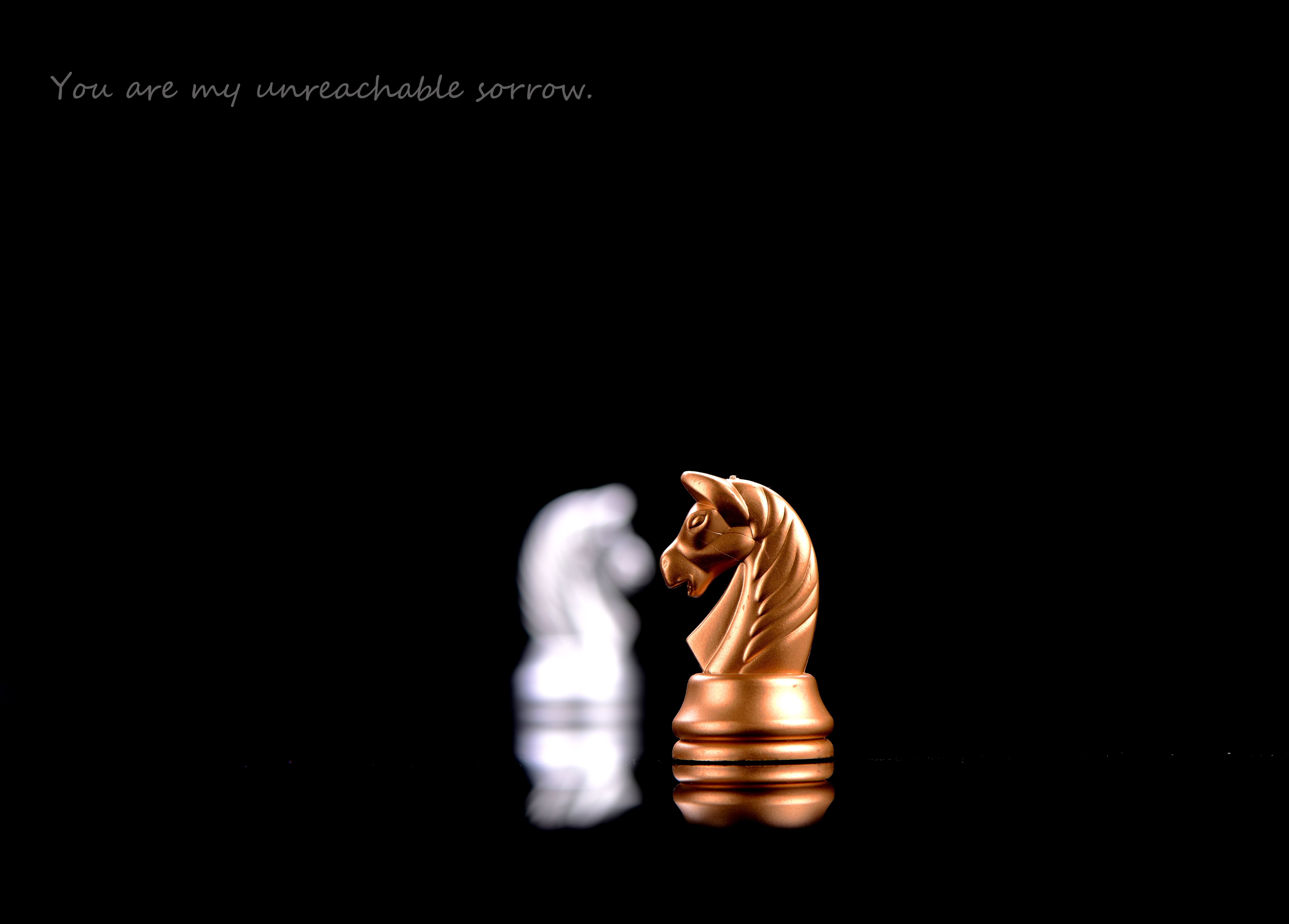 knight - chess piece, board game, brown, 5K, copy space, sculpture, male likeness, business, wooden, close-up, success, no people, love, human representation, HD Wallpaper