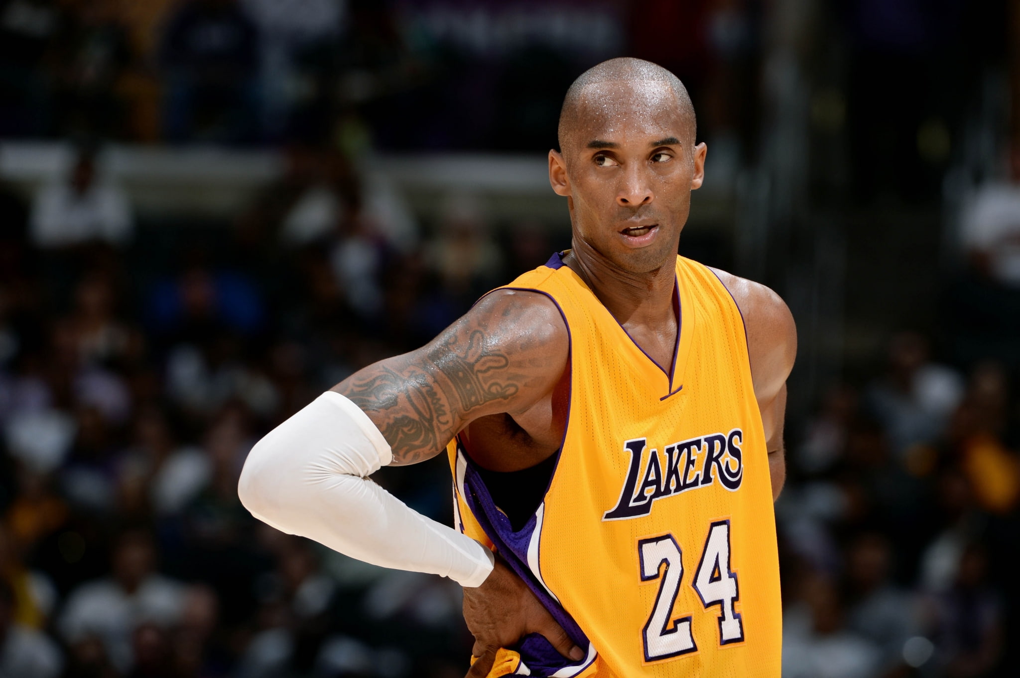 athlete, waist up, incidental people, portrait, competition, sport, healthy lifestyle, mens track, looking at camera, kobe bryant desktop, adult, lifestyles, HD Wallpaper