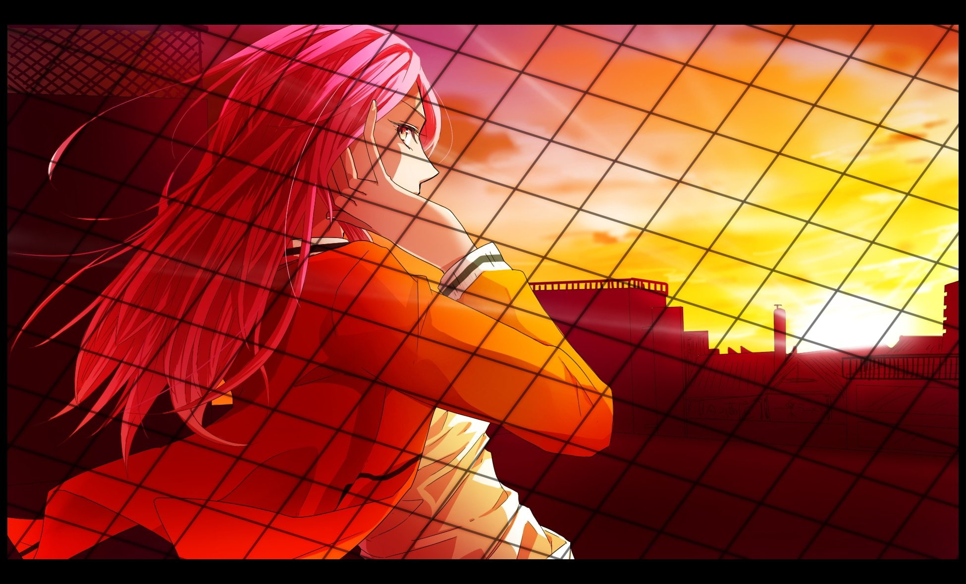 high), kuroko, uniform, 1080P, (shuutoku, basuke, satsuki, basketball, momoi, HD Wallpaper