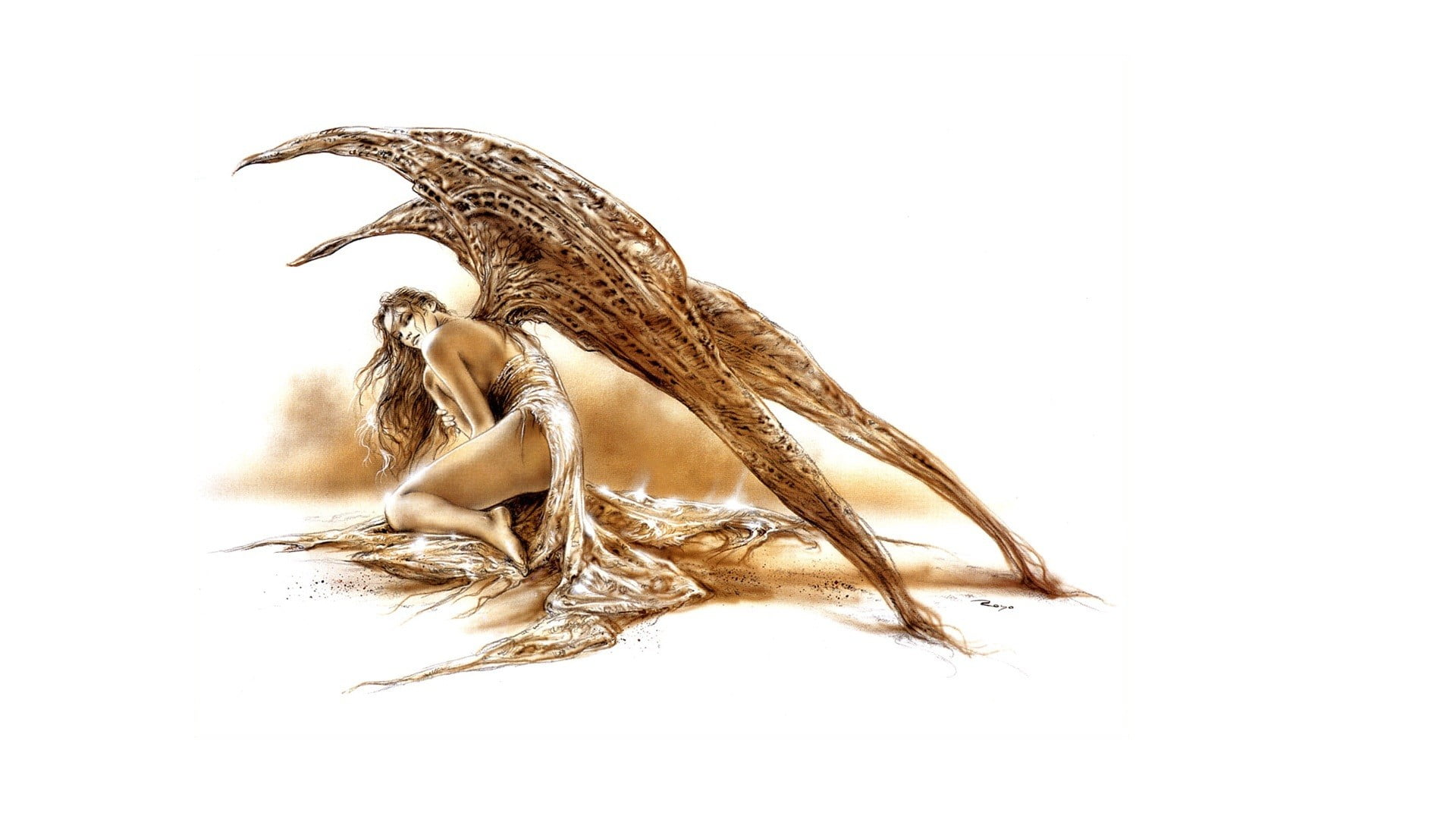 white background, no people, close-up, food and drink, still life, copy space, indoors, animal wildlife, women, nature, softness, animal, wings, studio shot, HD Wallpaper