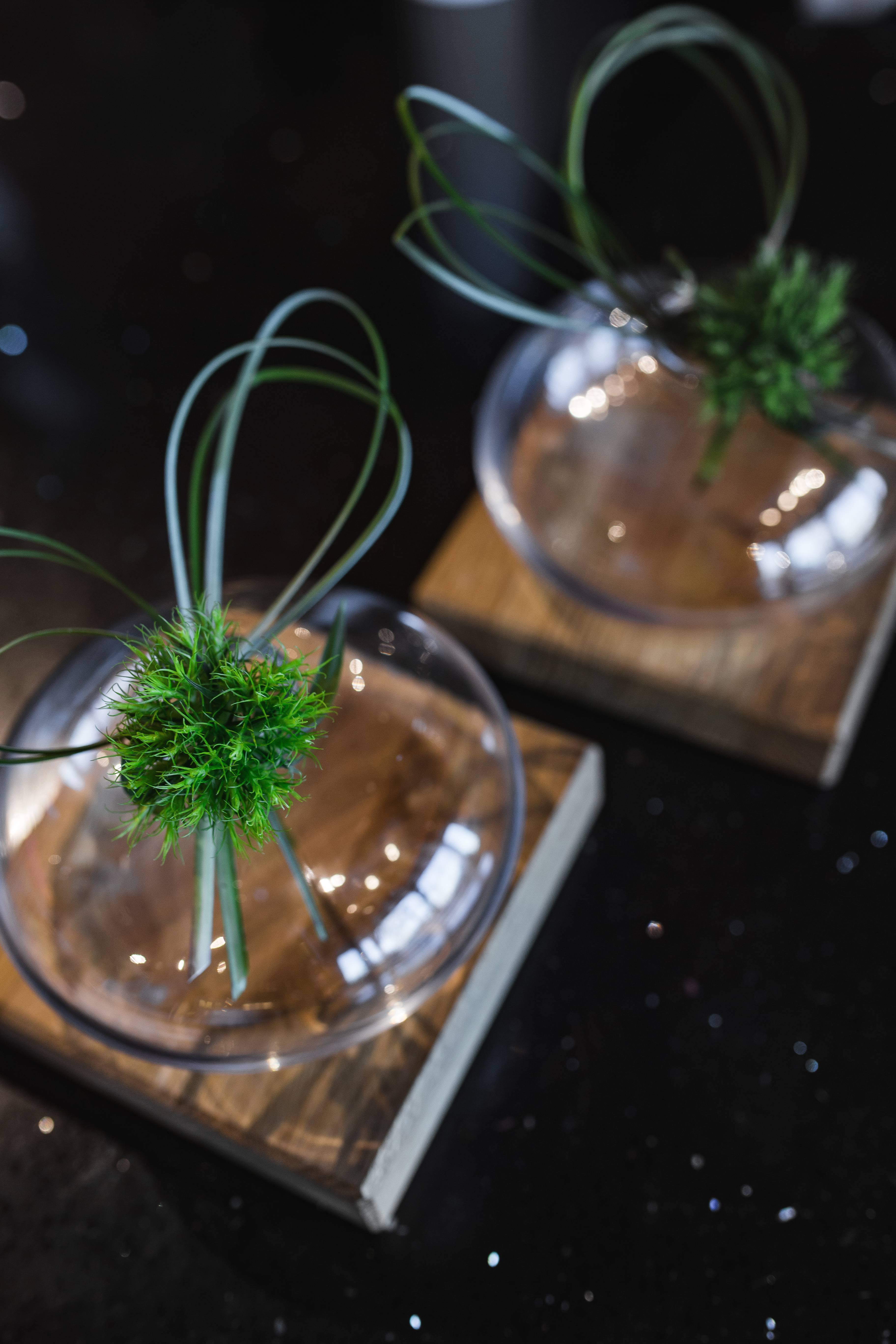 selective focus, glass jar, ribbon, trinket, 5K, glass - material, glass, focus on foreground, ornamental, day, close-up, food, bundle, green color, high angle view, Phone HD Wallpaper