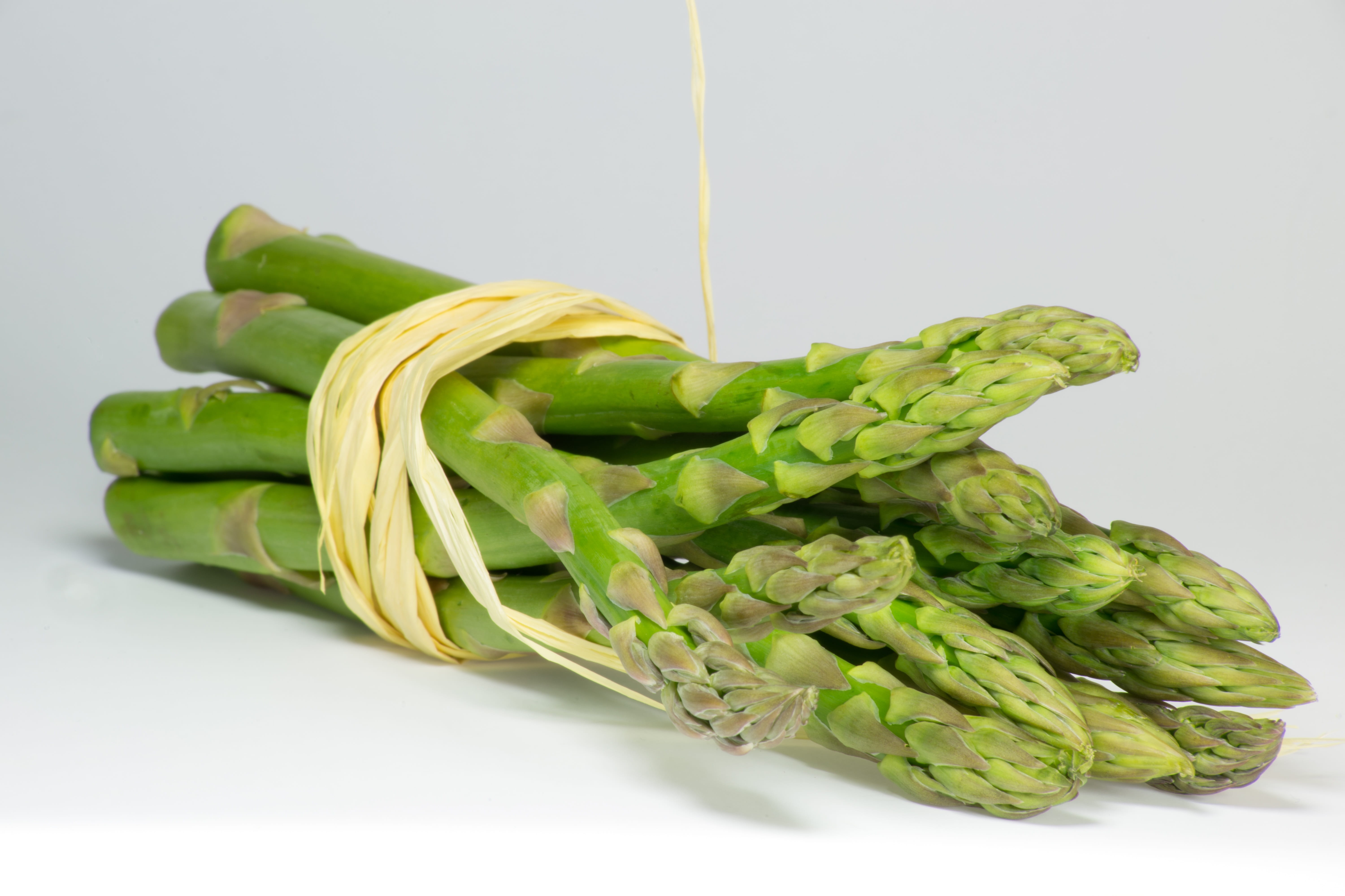 dieting, white background, bundle, raw Food, asparagus, food And Drink, close-up, still life, cut out, wellbeing, gourmet, vegetable, indoors, asparagus cochinchinensis, HD Wallpaper
