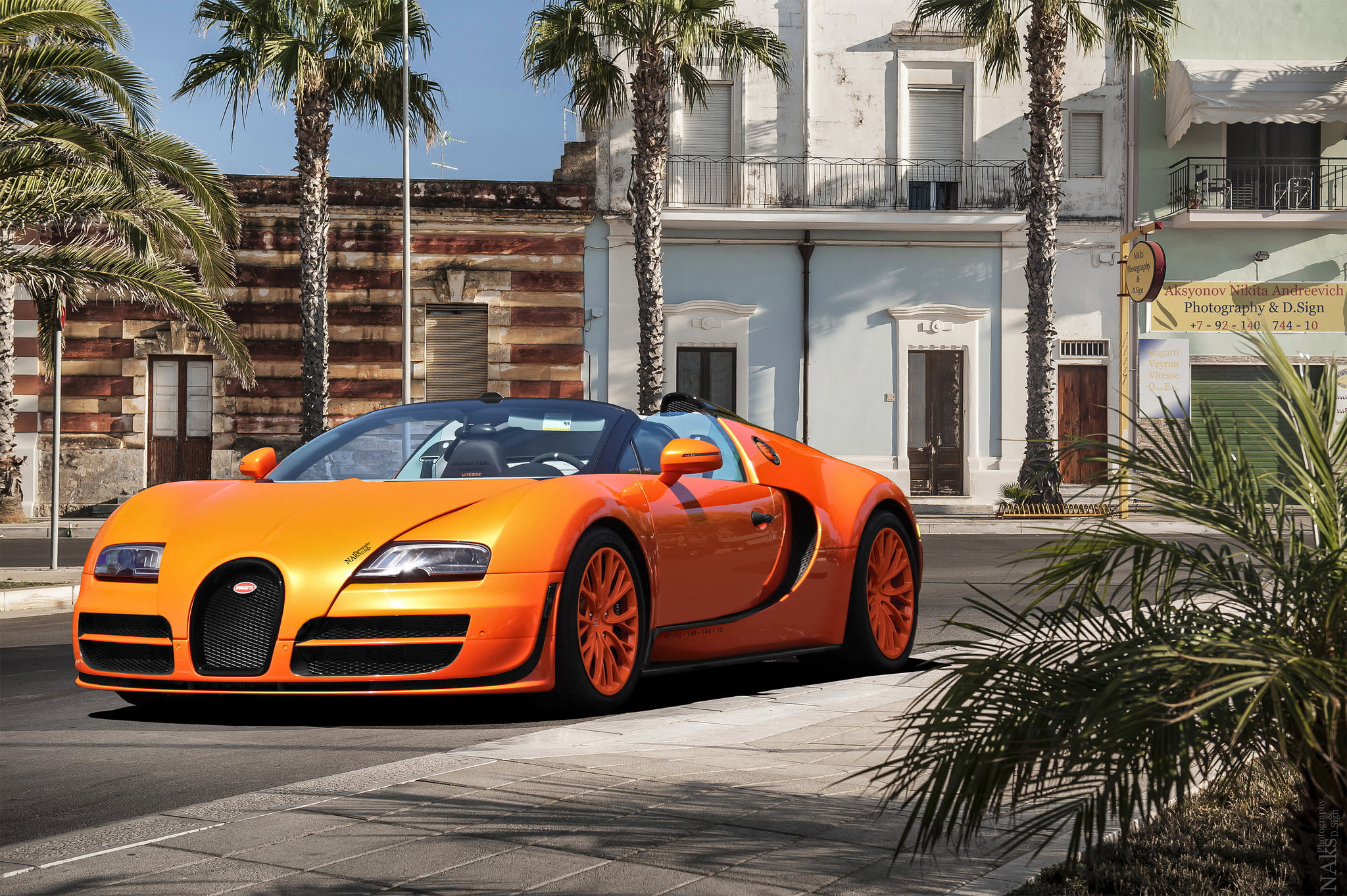 palm tree, bugatti, transportation, street, mode of transportation, vitesse, tree, sports Car, mode of Transport, sport, day, design, plant, coconut palm tree, HD Wallpaper