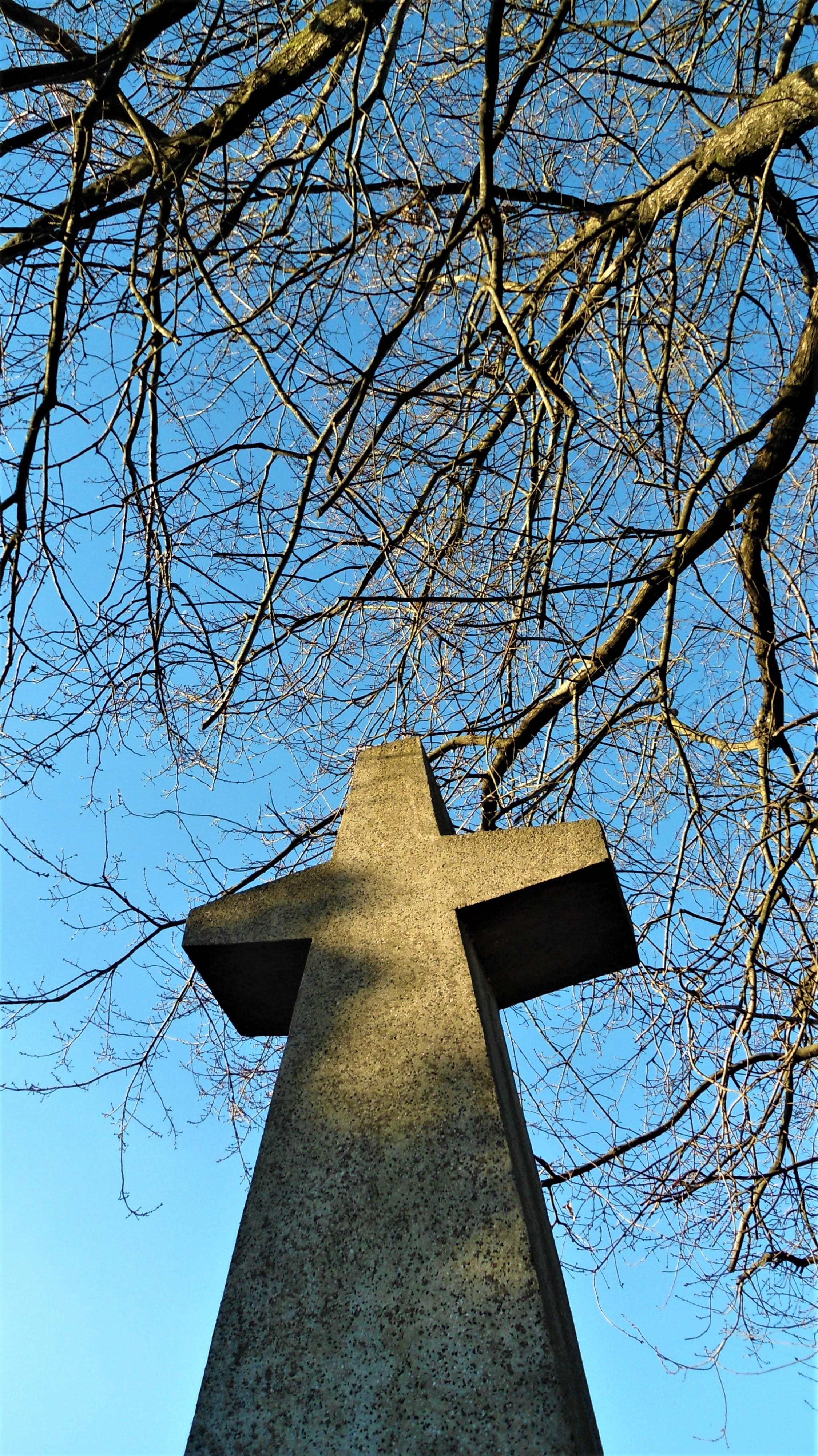 plant, christiano, monument, cristu, clear sky, cemetery, cross, 4K, concrete, headstone, cristo, prayer, belief, symbol, branch, no people, tree, skyward, Phone HD Wallpaper