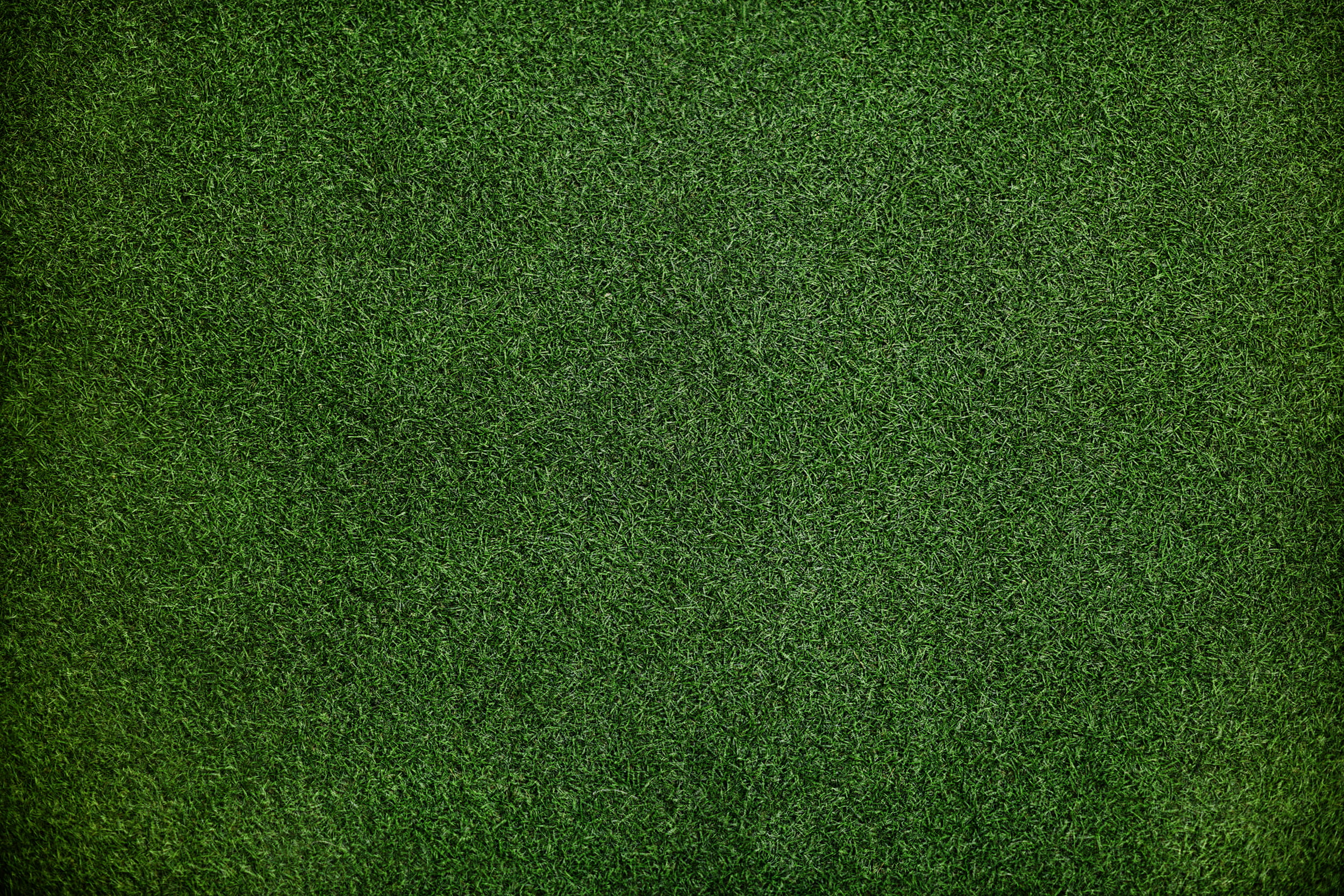 turf, untitled, texture, 1080P, backgrounds, team sport, american football field, soccer field, no people, textured, full frame, plant, dark, field, close-up, HD Wallpaper